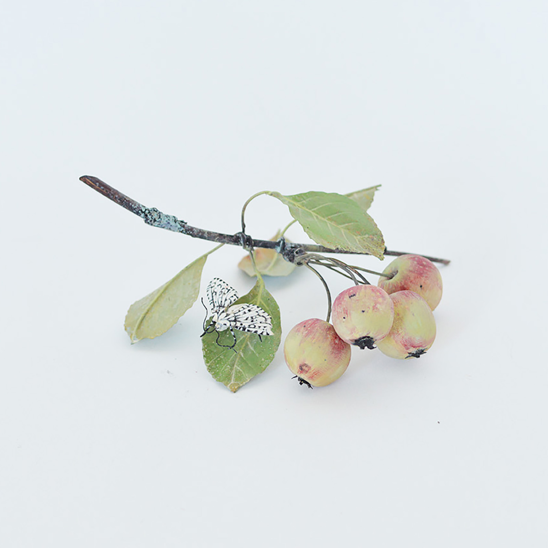 CRABAPPLE BRANCH WITH LEOPARD MOTH by Carmen Almon
