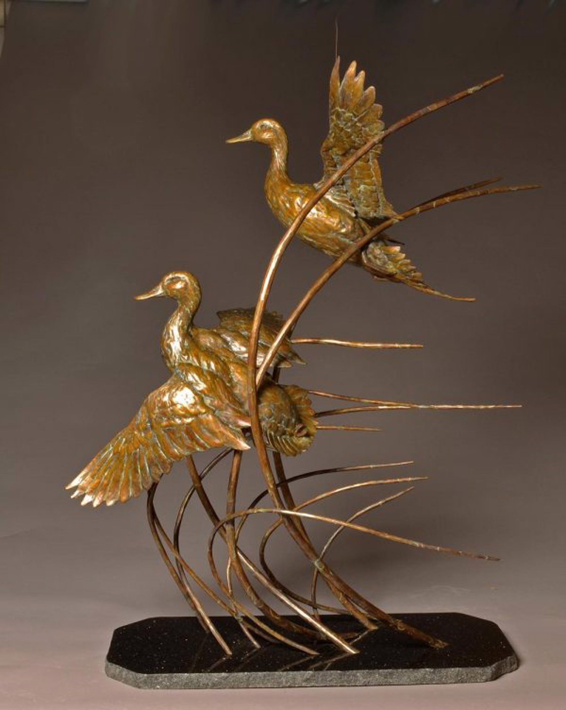 Pins and Curls (Mallard and Pintail) by Stefan Savides