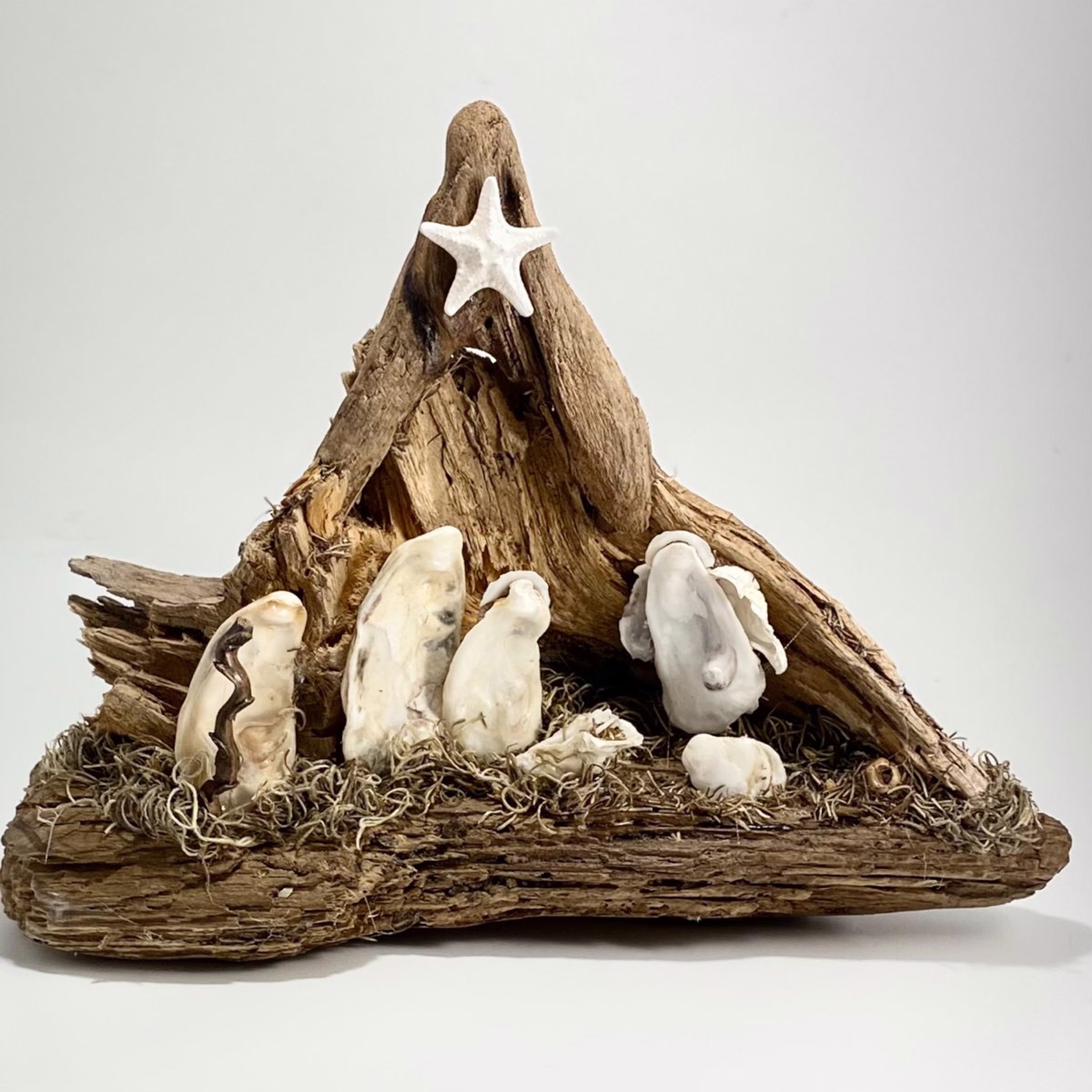 CN22-28 Creche From The Sea~Oyster Shell on Driftwood by Chris Nietert