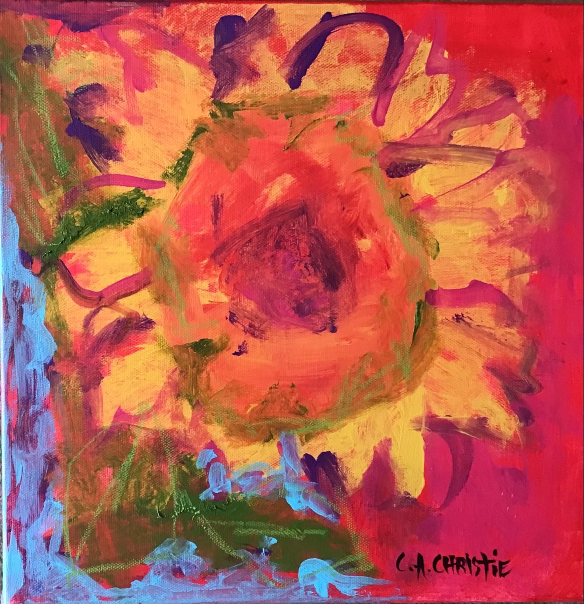 Sunflower by Carol Christie