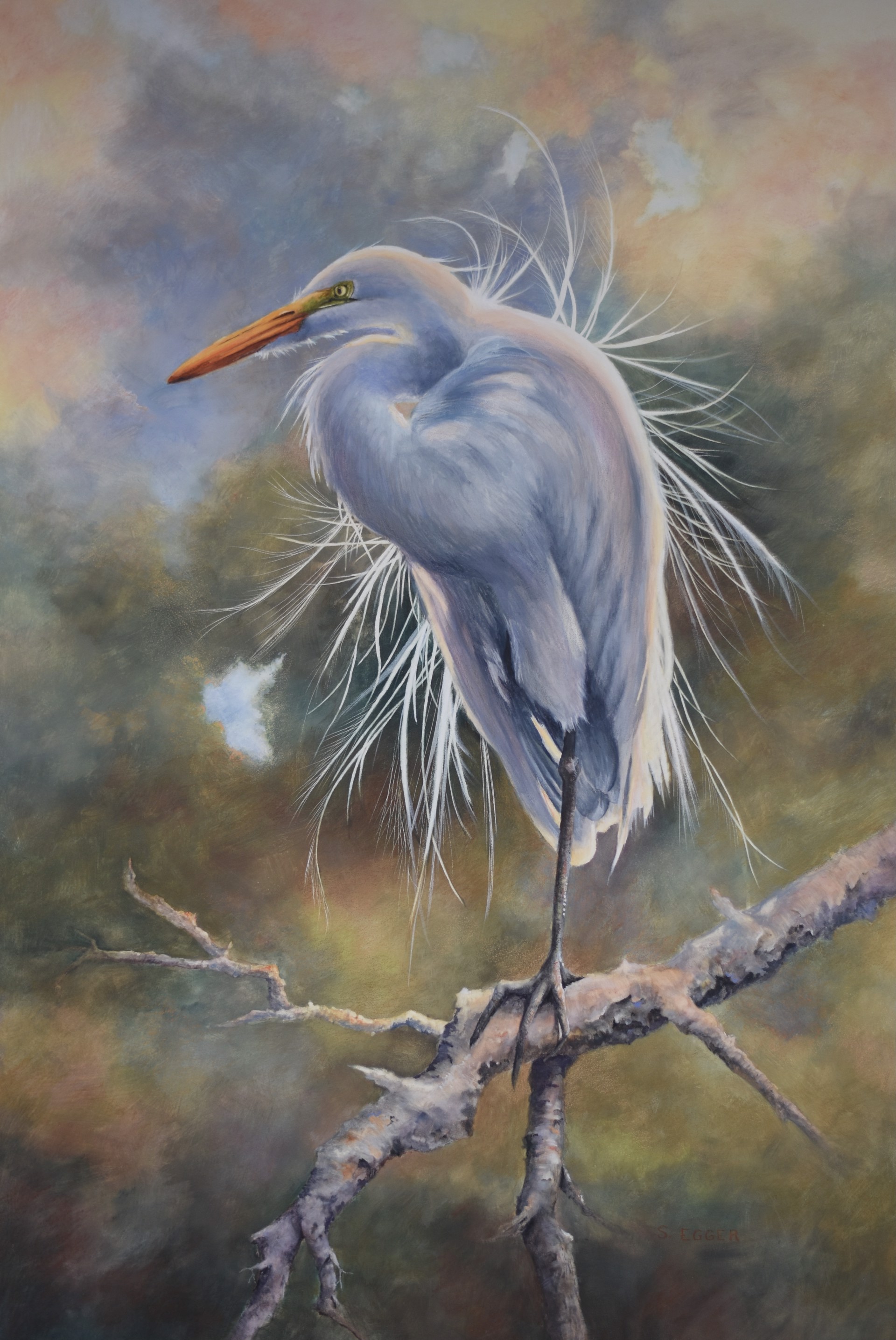 Egret by Sherry Egger