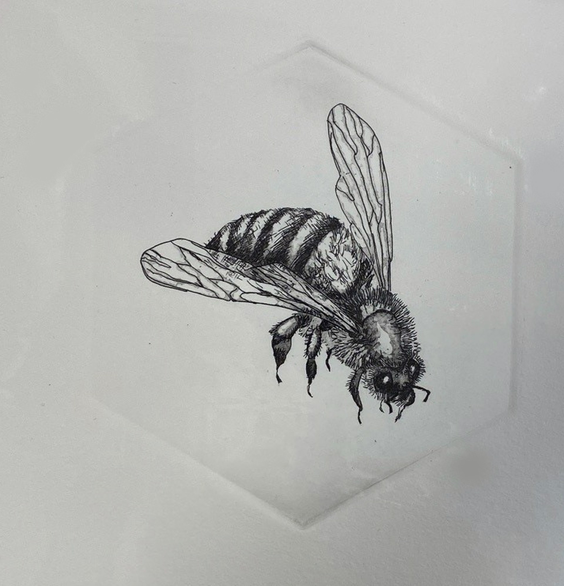 Honey Bee #3 by Marit Berg