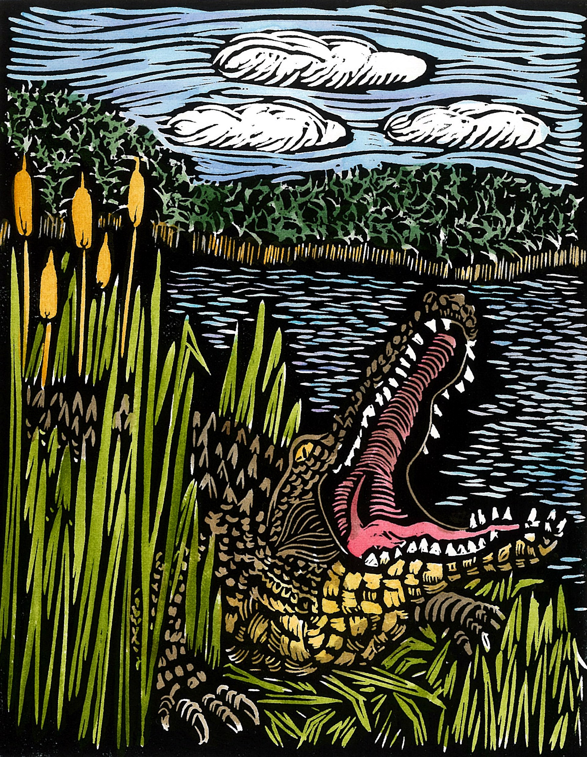 Gator Chomp (matted) by Diana Tonnessen