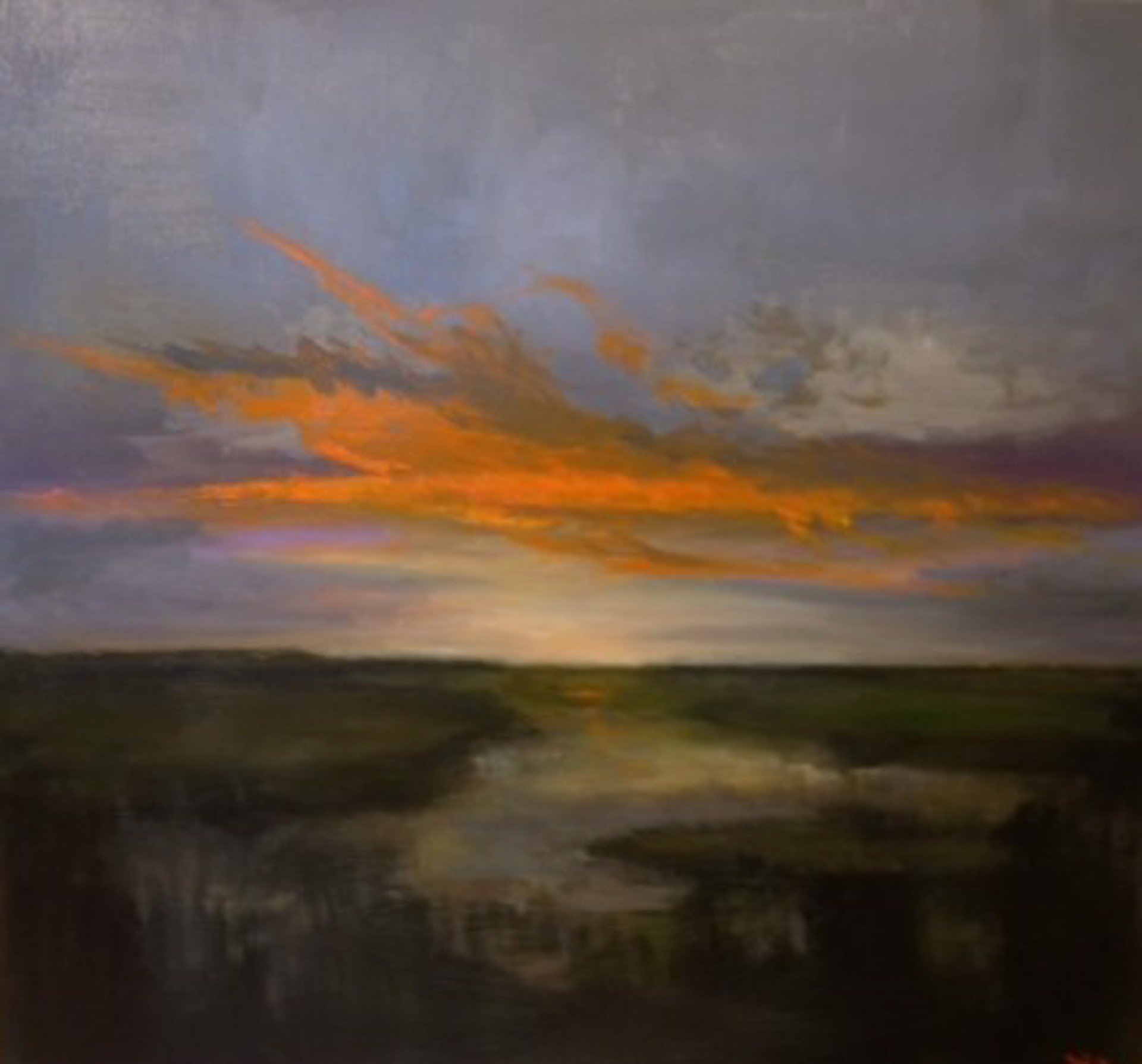 Wetlands Sunset by Jim Darlington