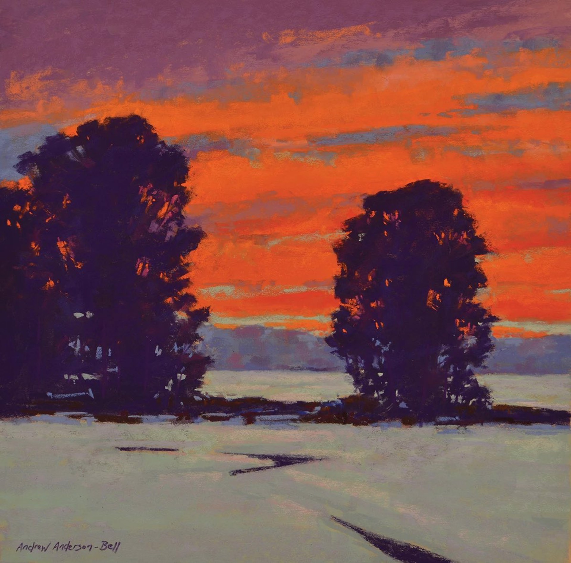 Winter Sky Ablaze by Andrew Anderson-Bell