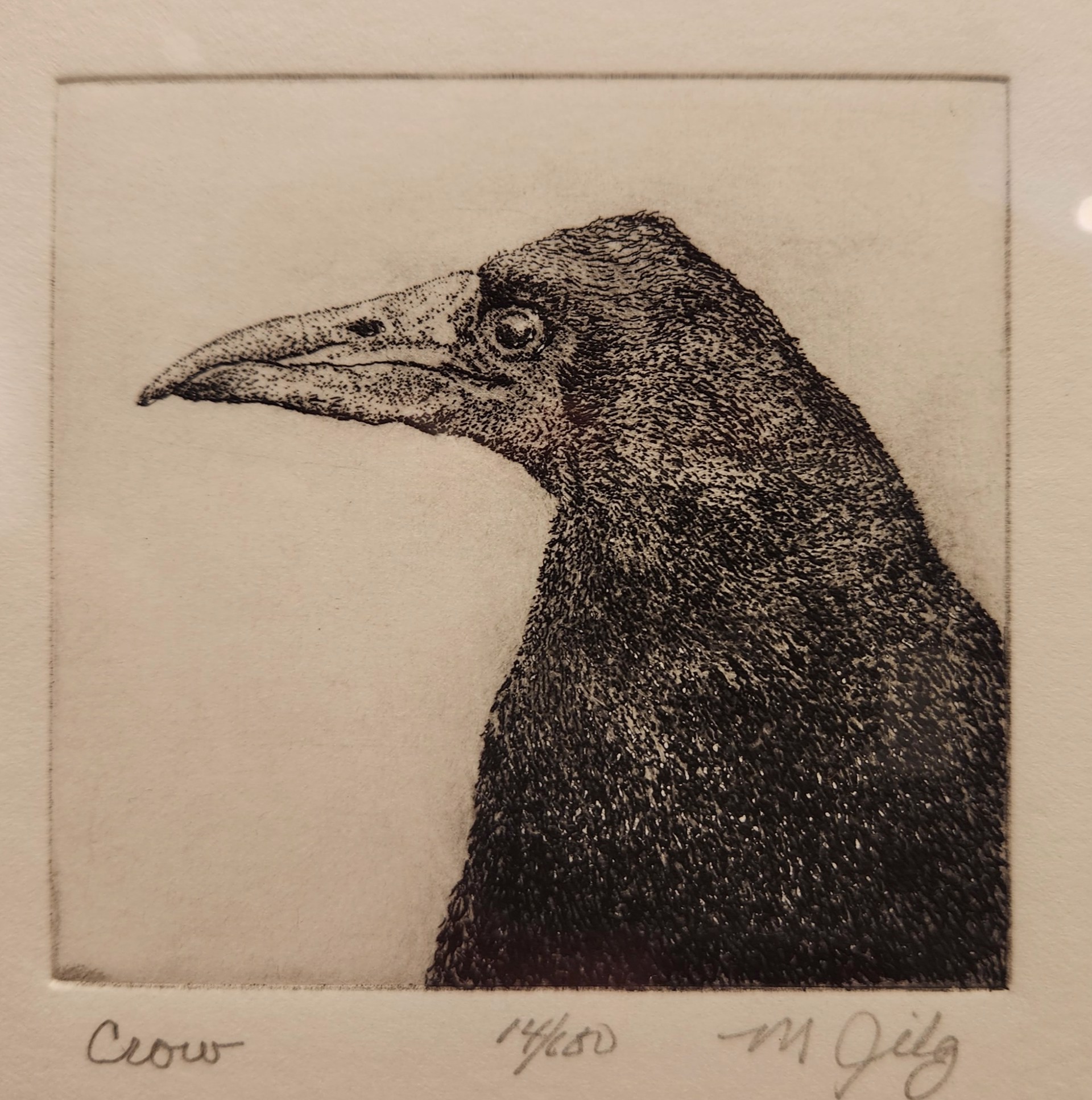 Crow  (14/150) by Michael Florian Jilg