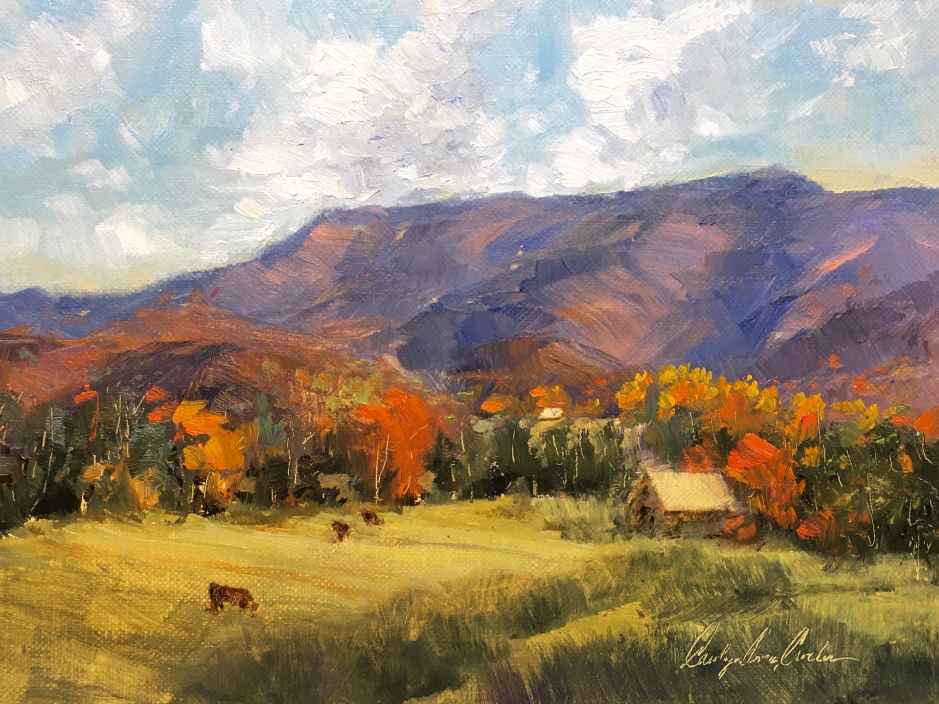 High Country Color by Carolyn Crocker (Rue)