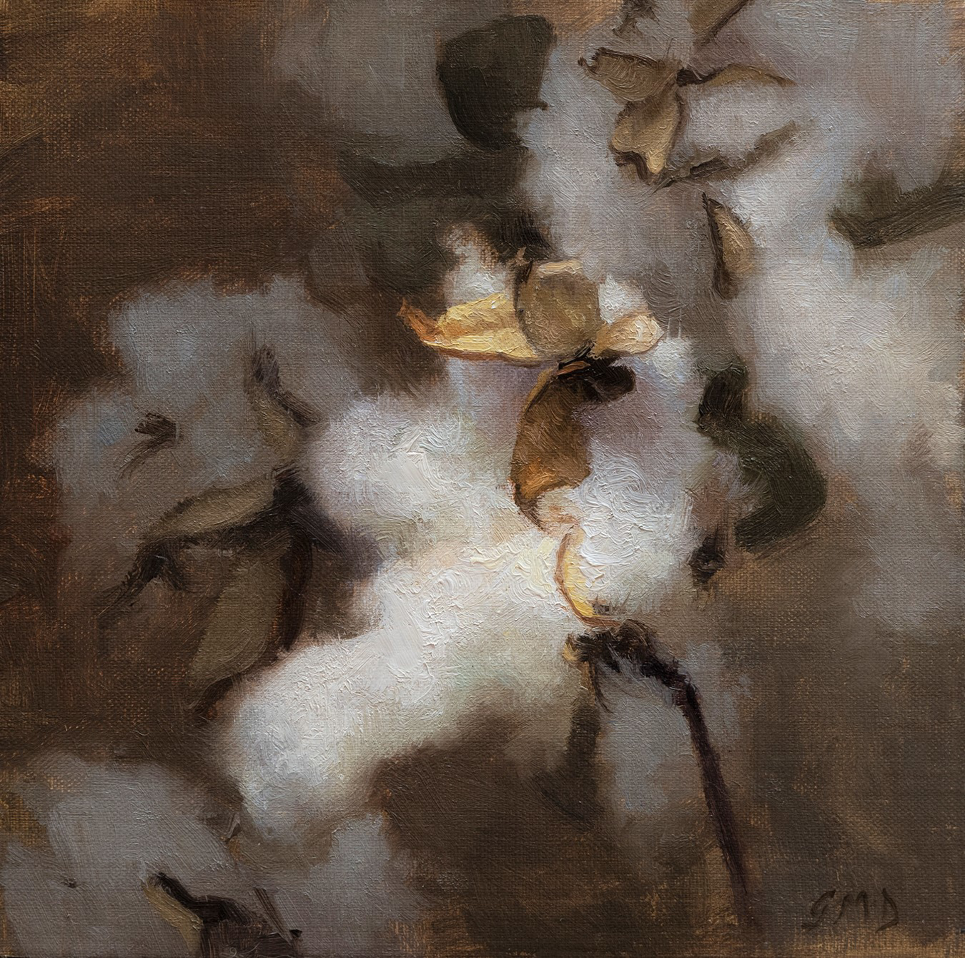 Cotton with Pods by Grace DeVito