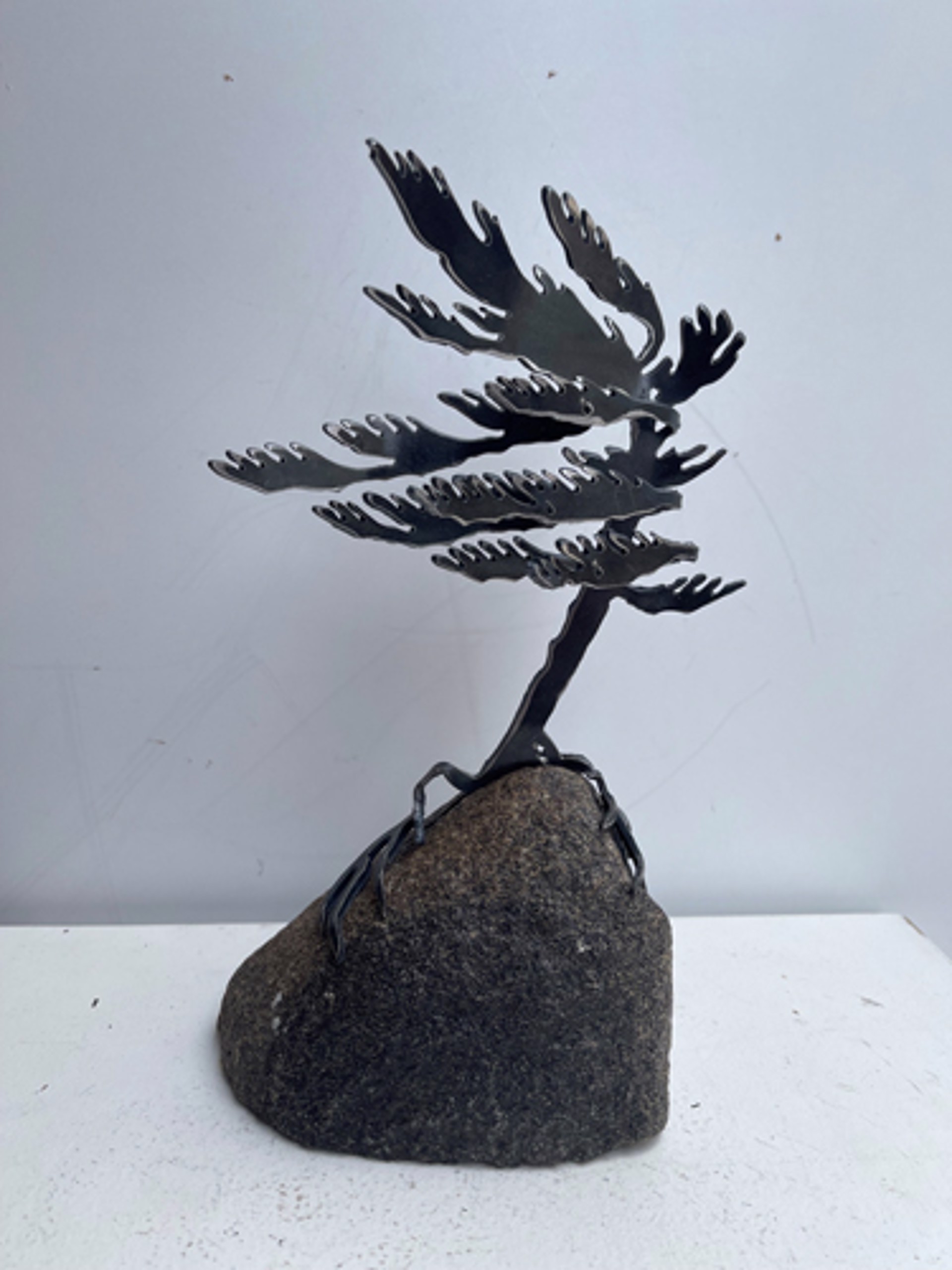 One Tree Rock by Cathy Mark
