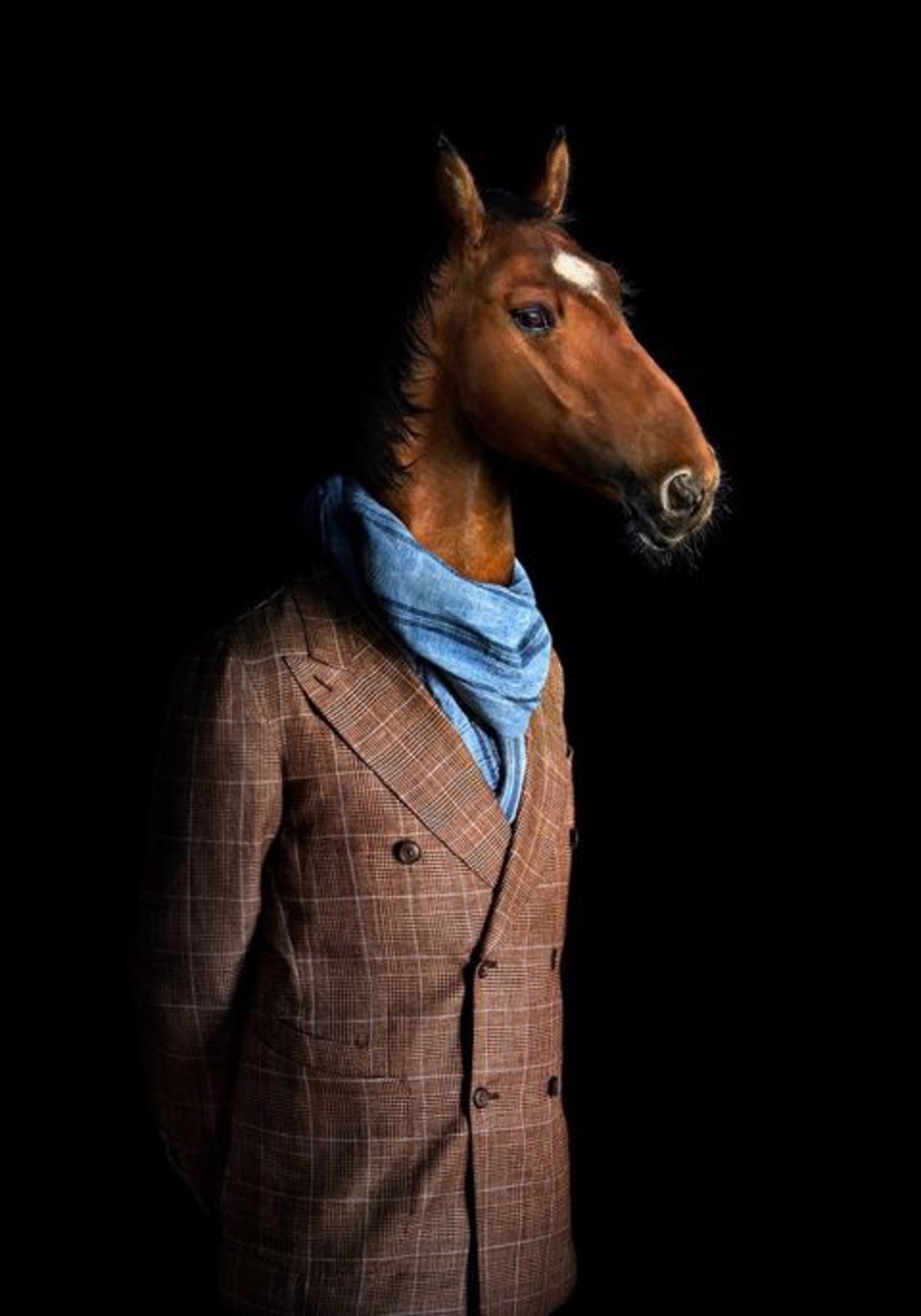 Retrato numero 85_horse by Miguel Vallinas
