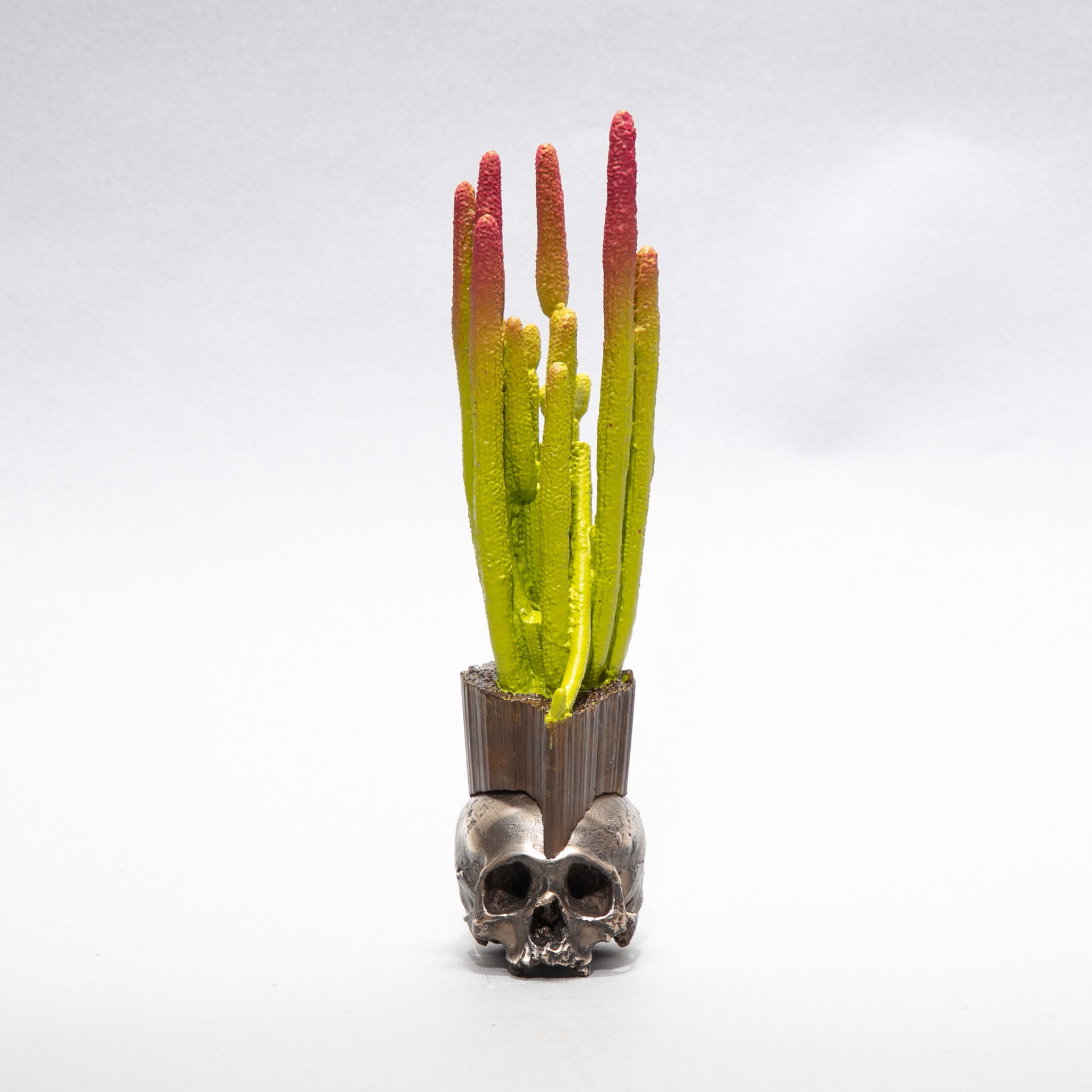 "Cactus Skull 3" by Dana Younger