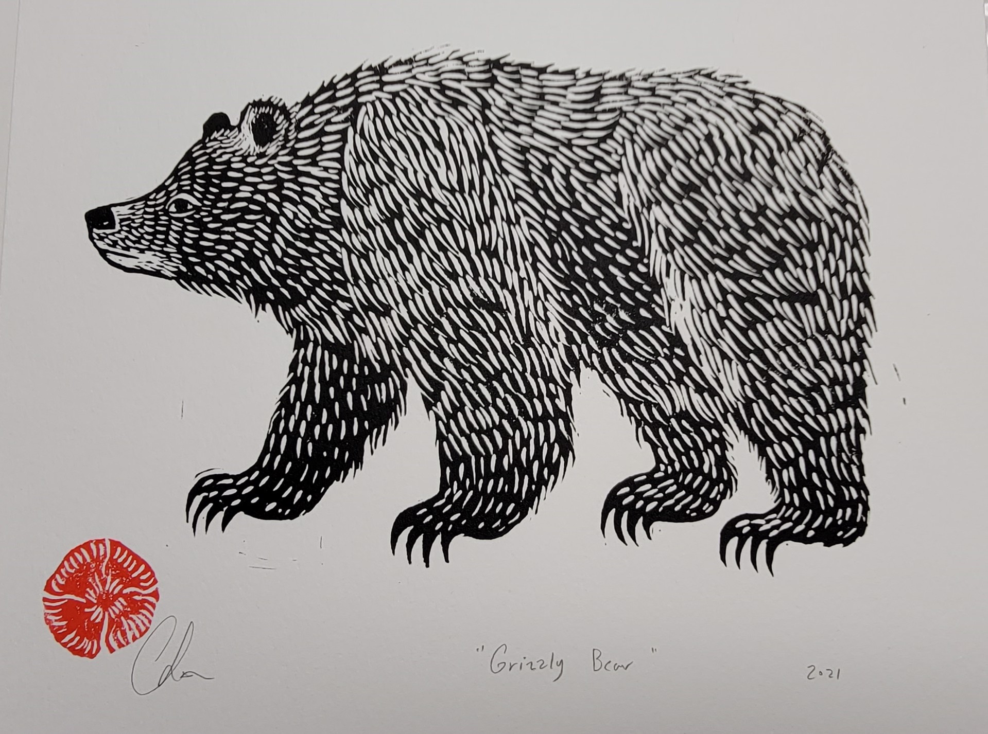 Grizzly Bear by Christine Sutton