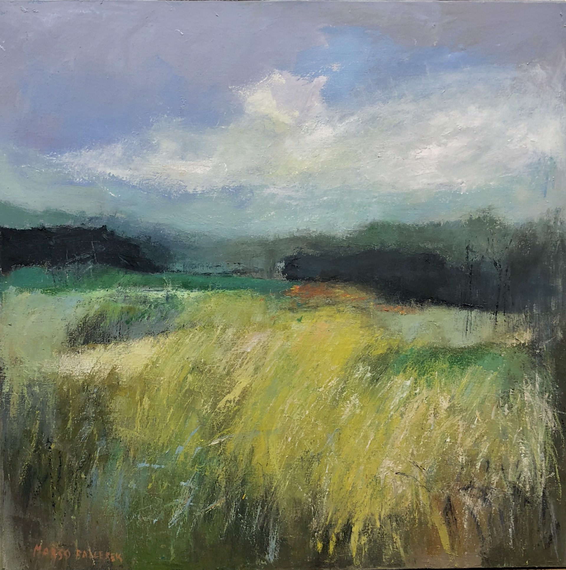 Grass Heaven by Margo Balcrerek