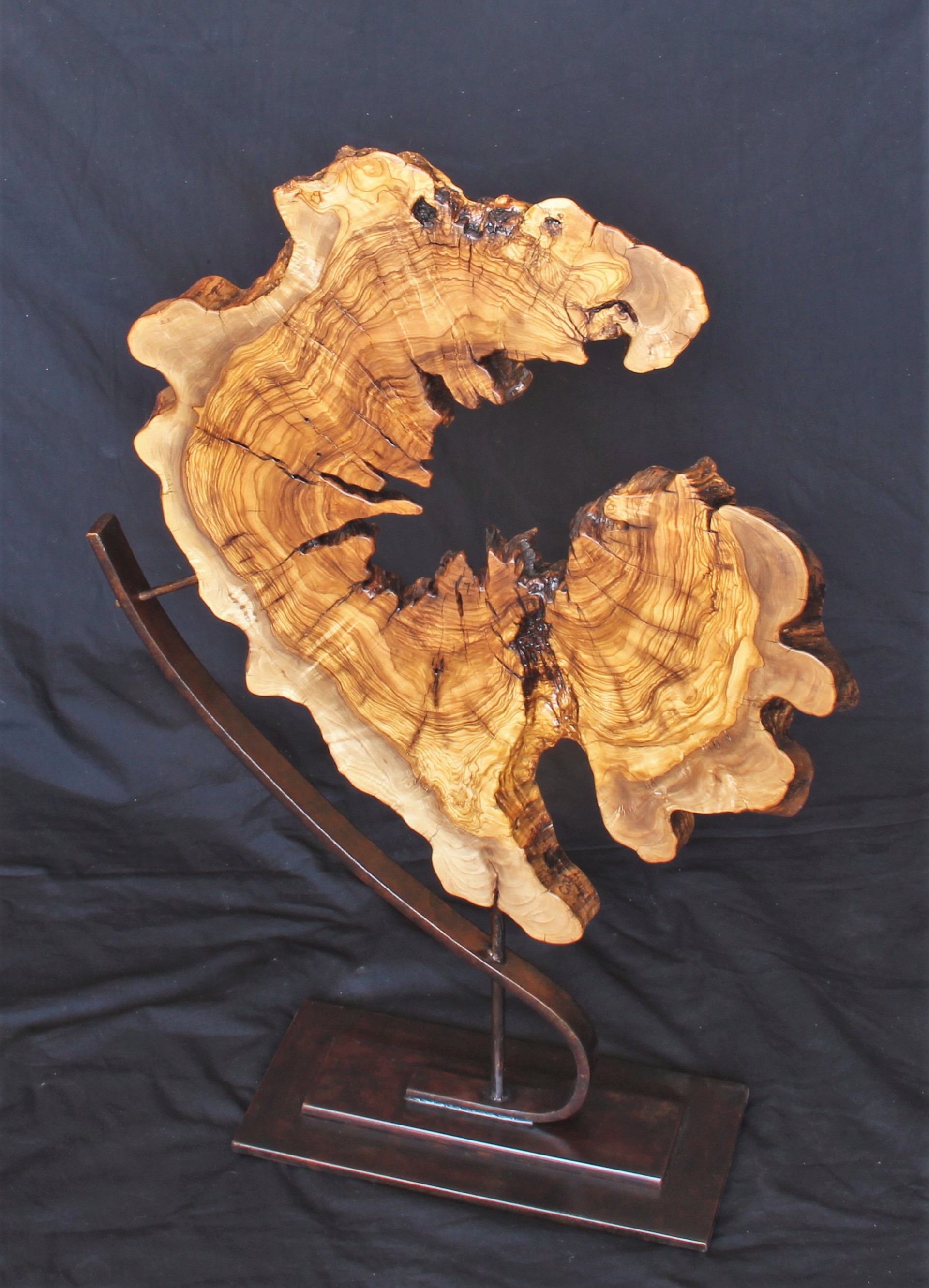 Freestanding Olive Root Burl on Steel Base --Cantilevered 030318B by Ron Gill
