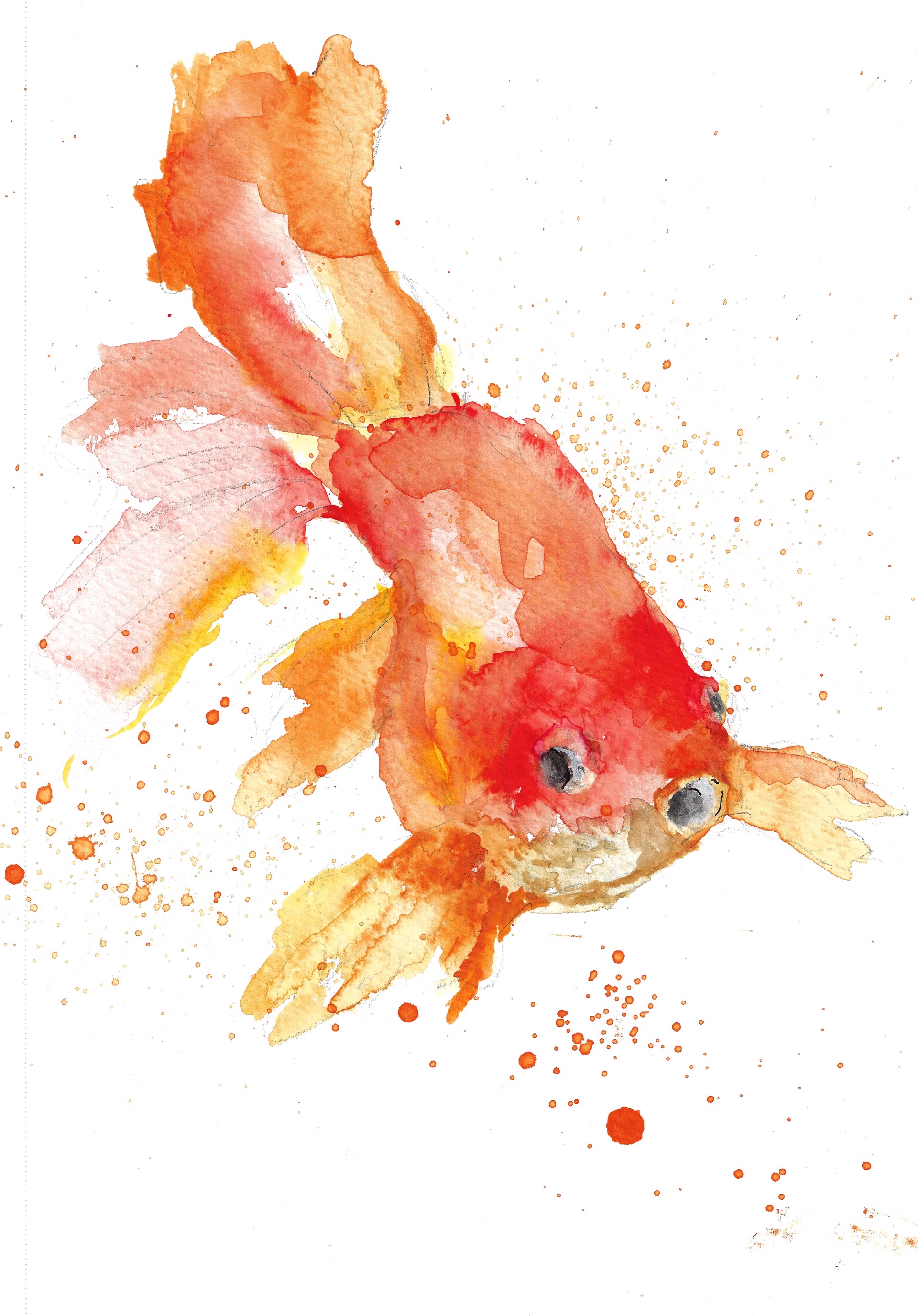 Be a Goldfish by Anne Neilson
