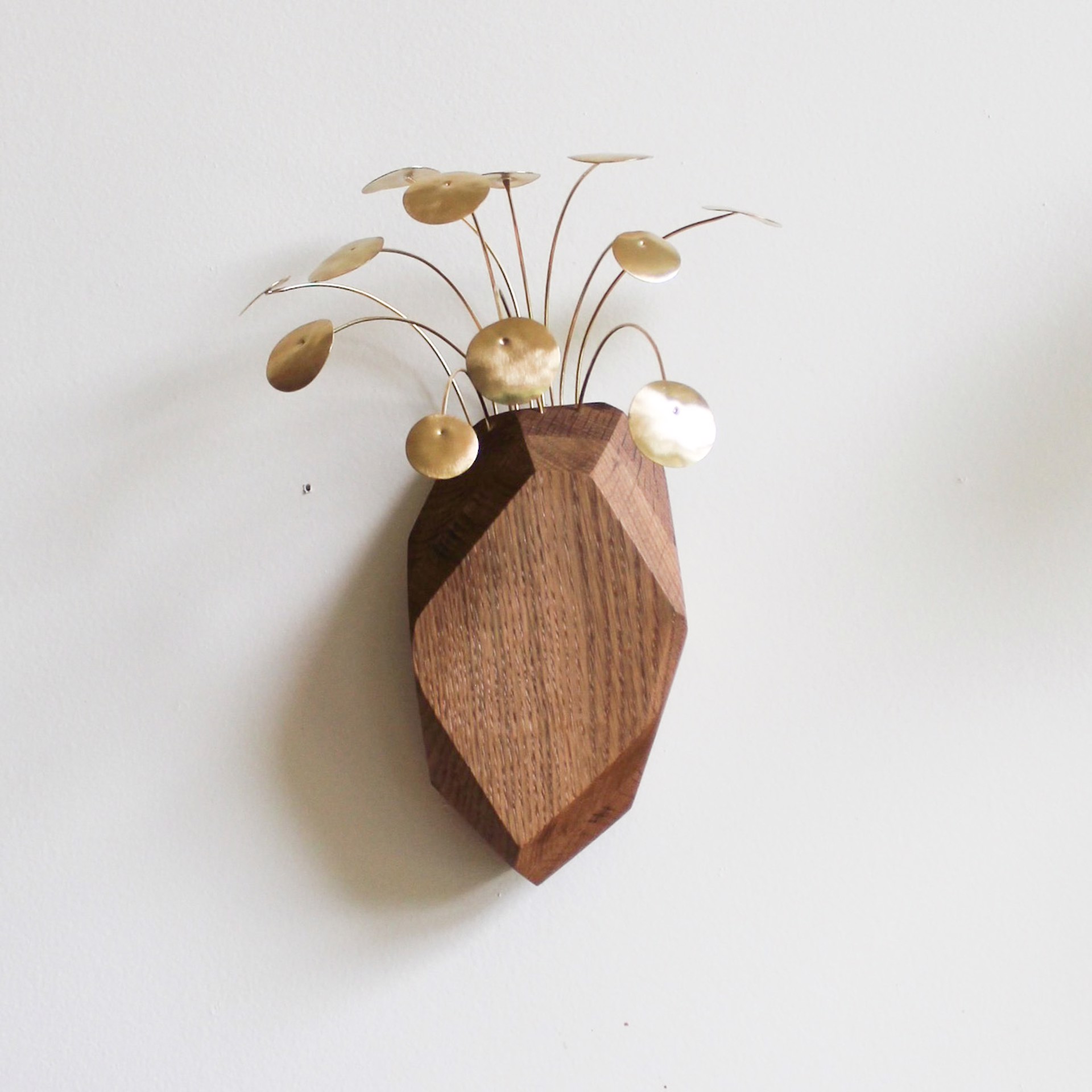 Pilea Peperomiodes Wall Sculpture by Audrey Laine