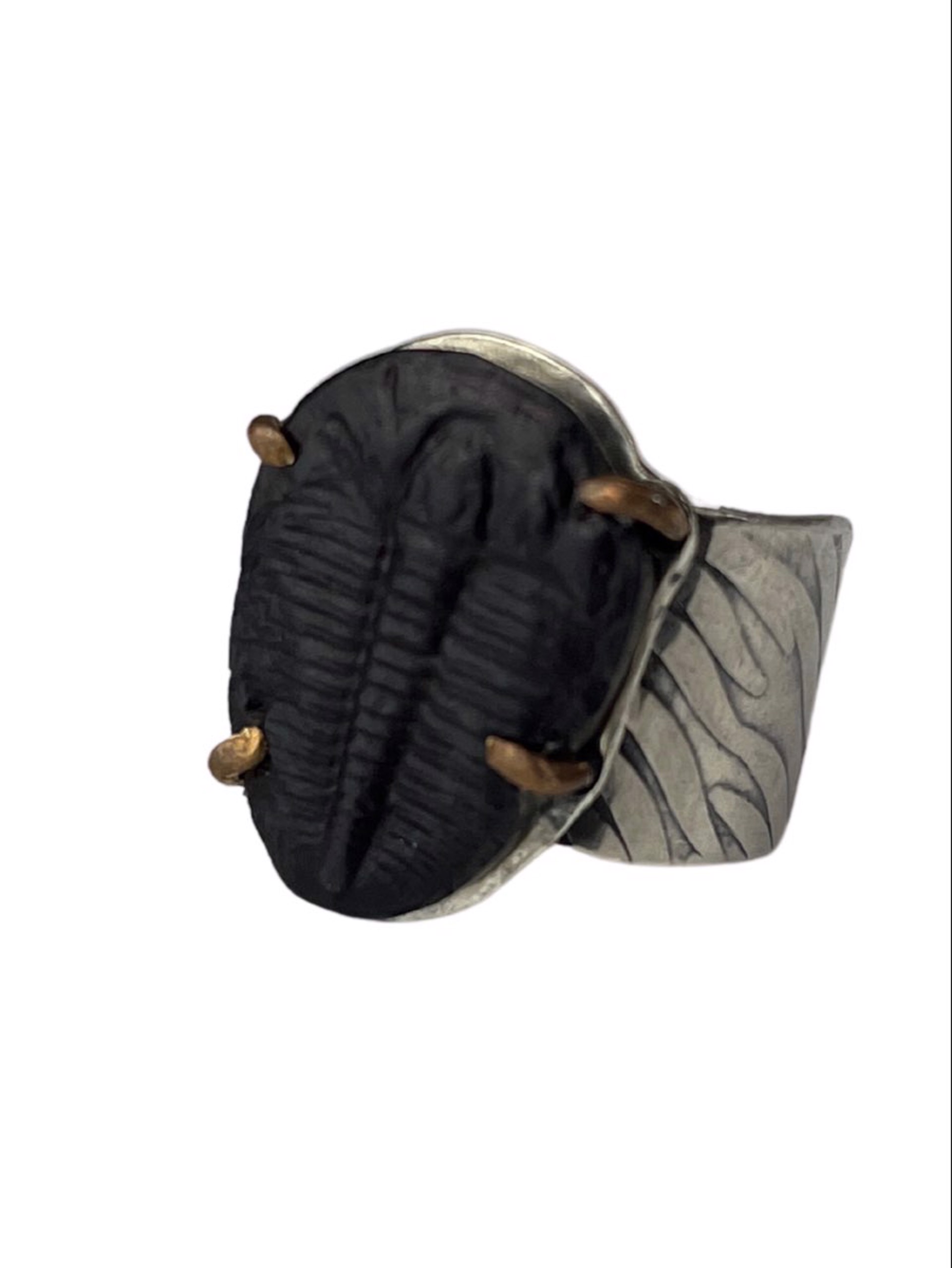 Trilobite Ring by Nola Smodic