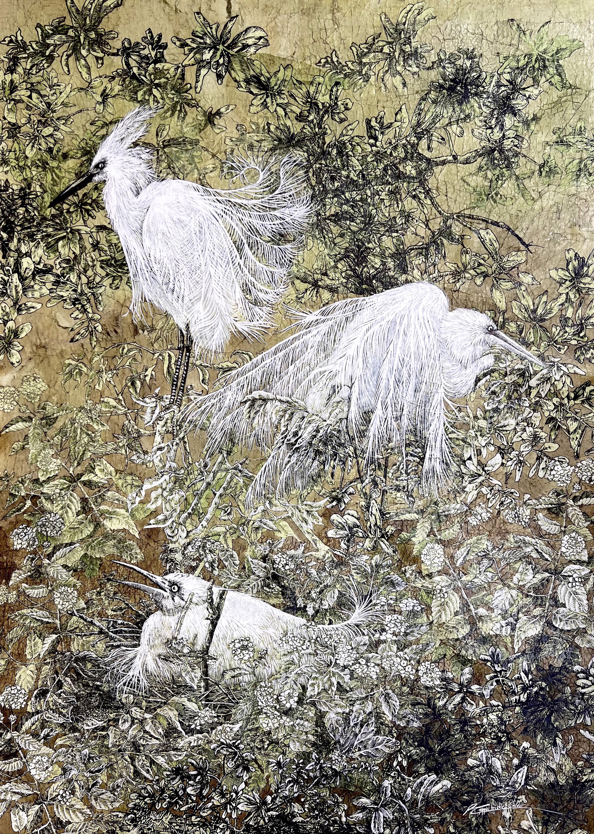 Snowy Egrets by Pippin Frisbie-Calder