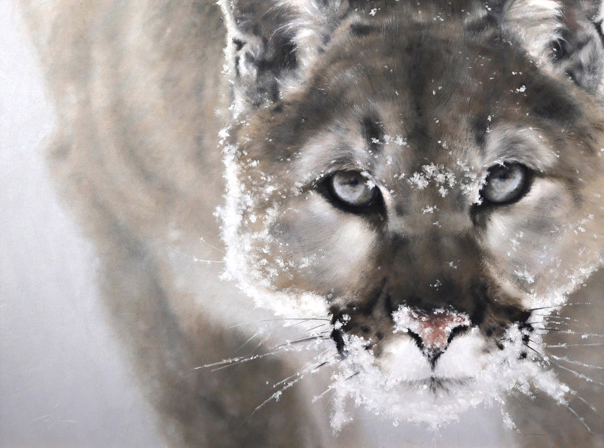 Original Oil Painting By Doyle Hostetler Featuring A Close Up View Of A Mountain Lion In A Muted Color Scheme