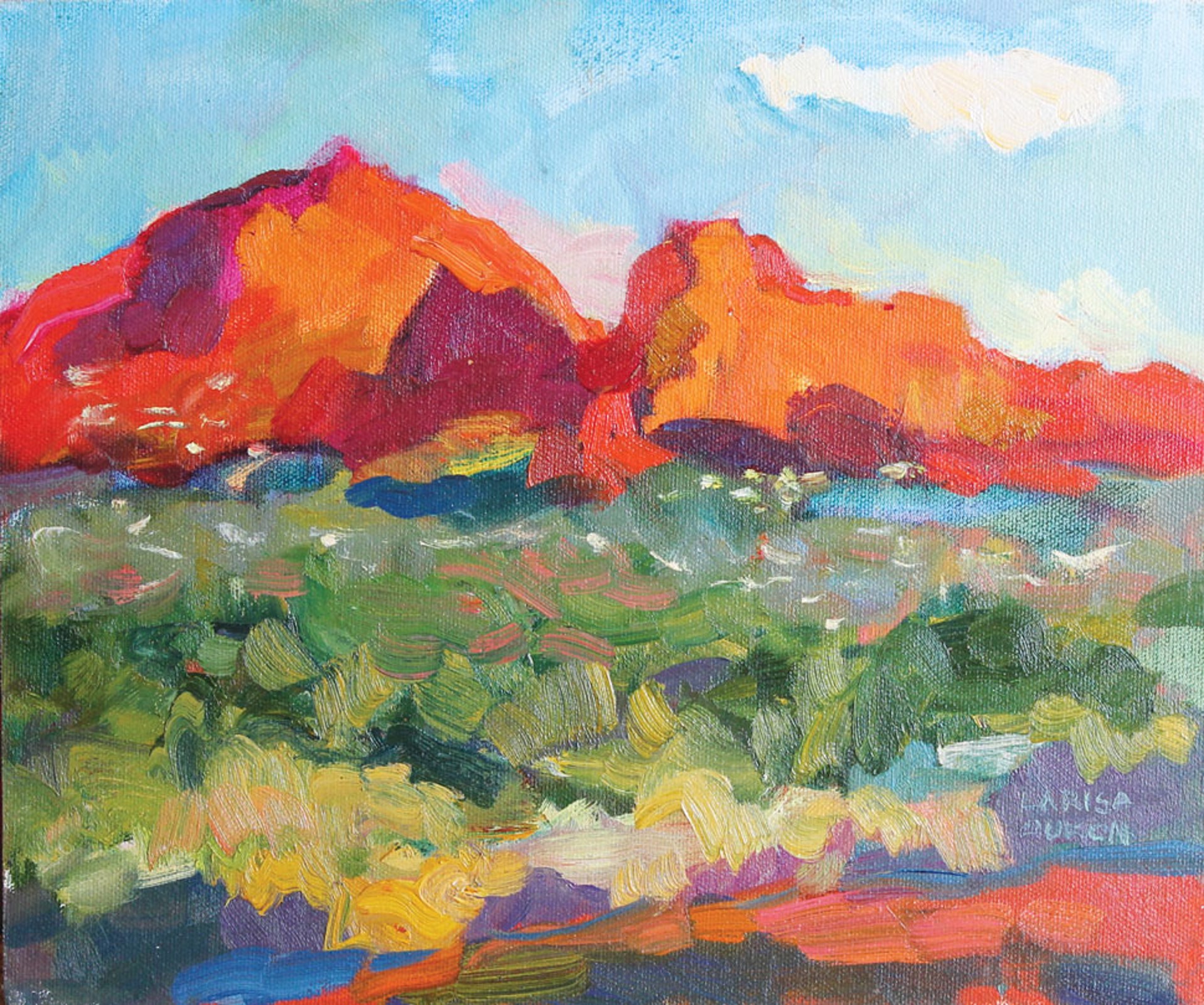 Afternoon in Sedona by Larisa Aukon