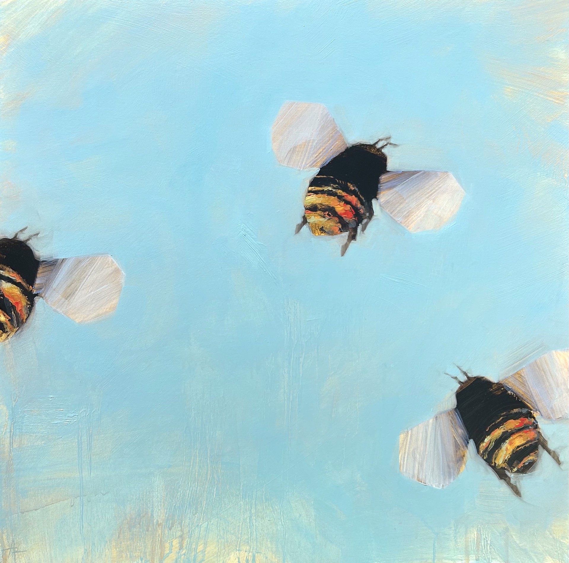 Bees 2-47 by Angie Renfro