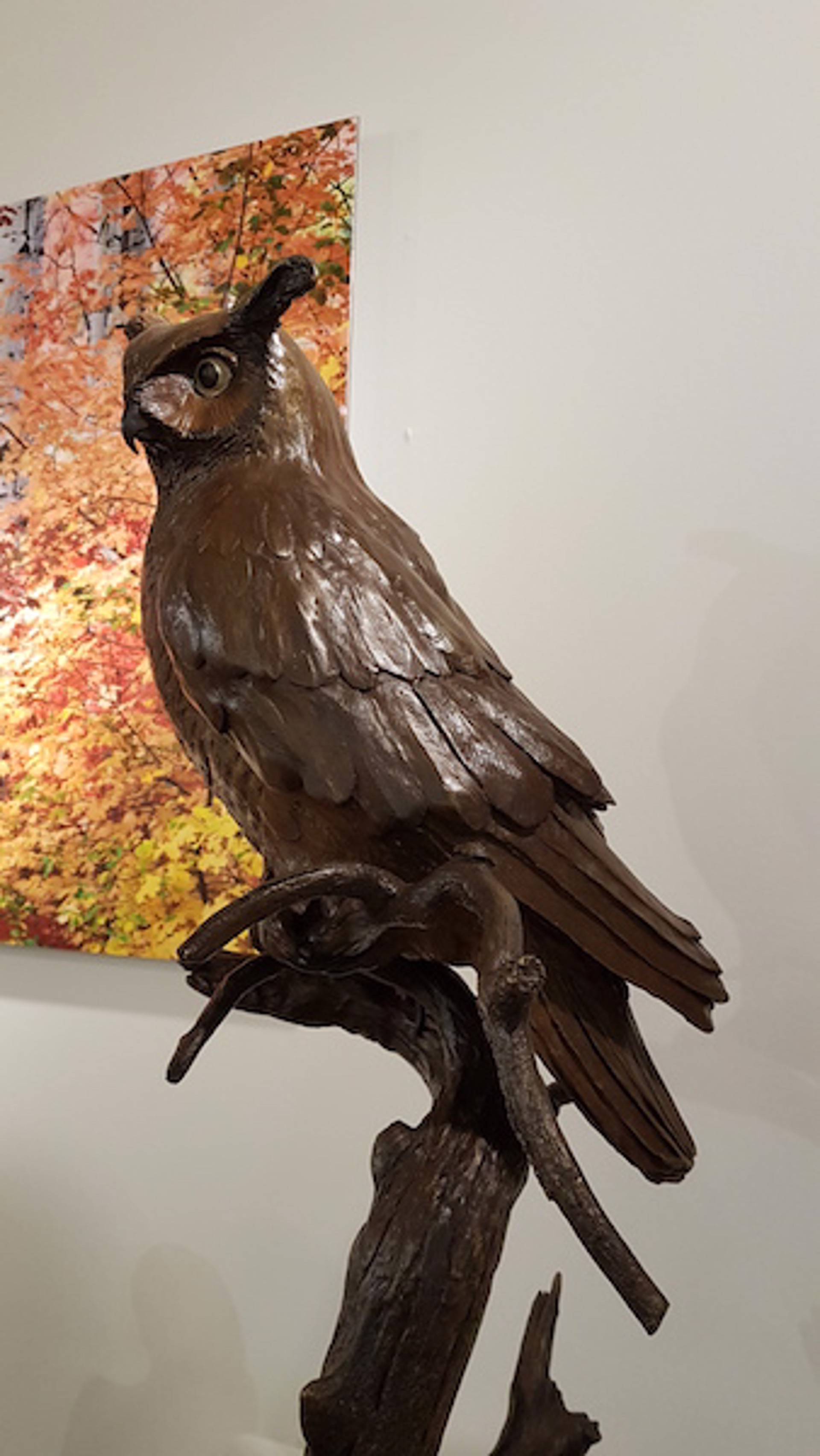 Owl, Bubo by Tom Hjorleifson