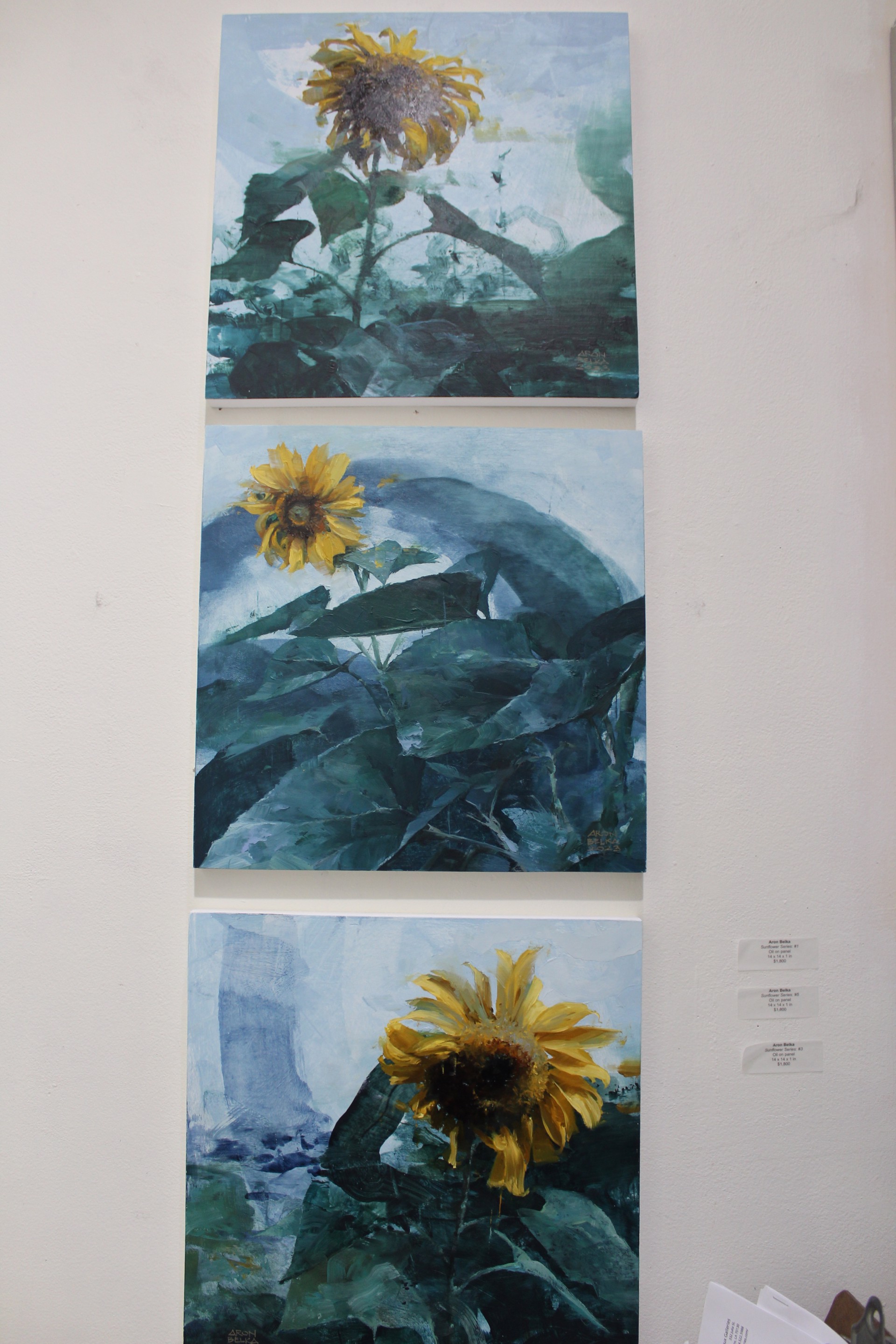 Sunflower Series: #1 by Aron Belka