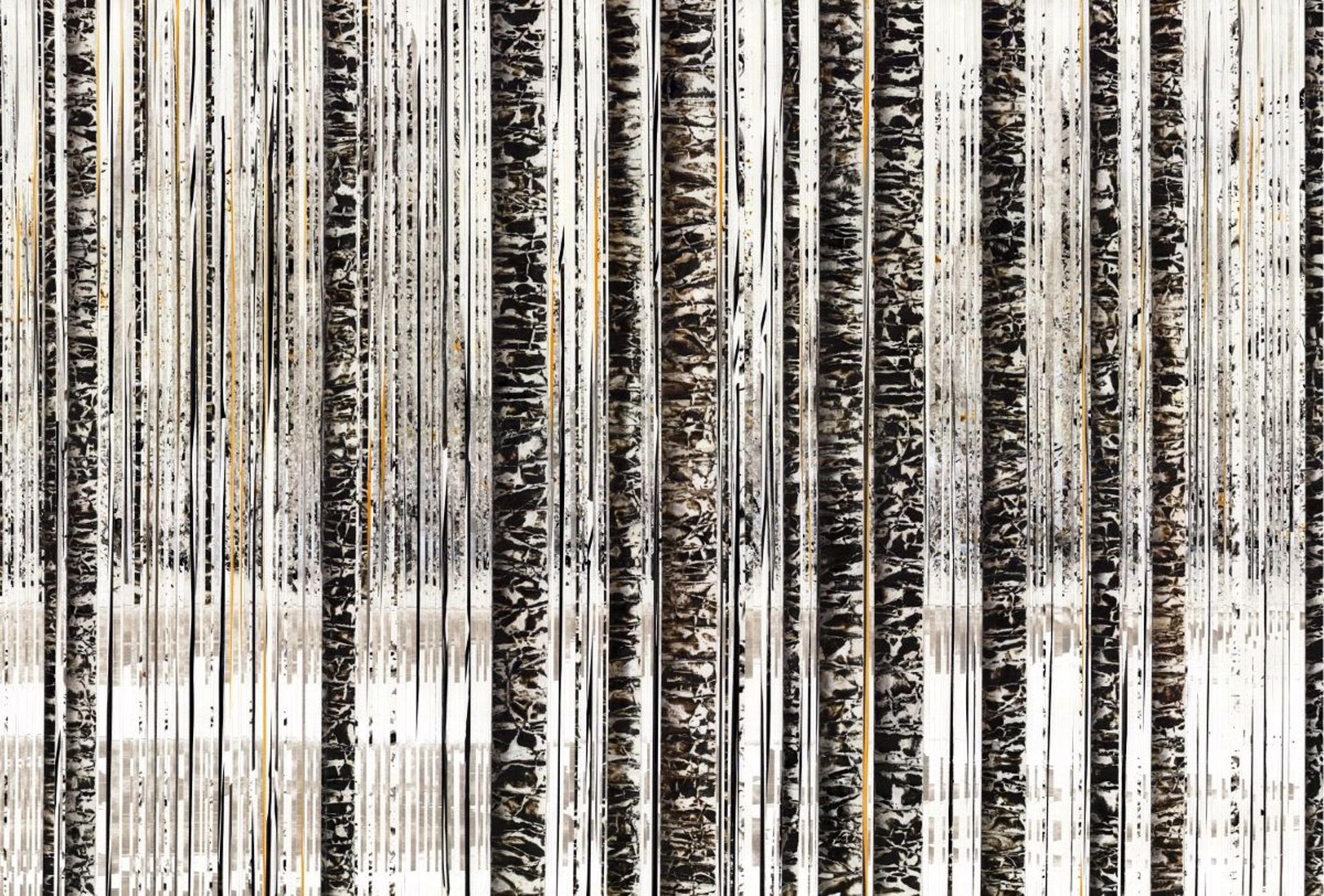 Winter Pines by Anastasia Kimmett