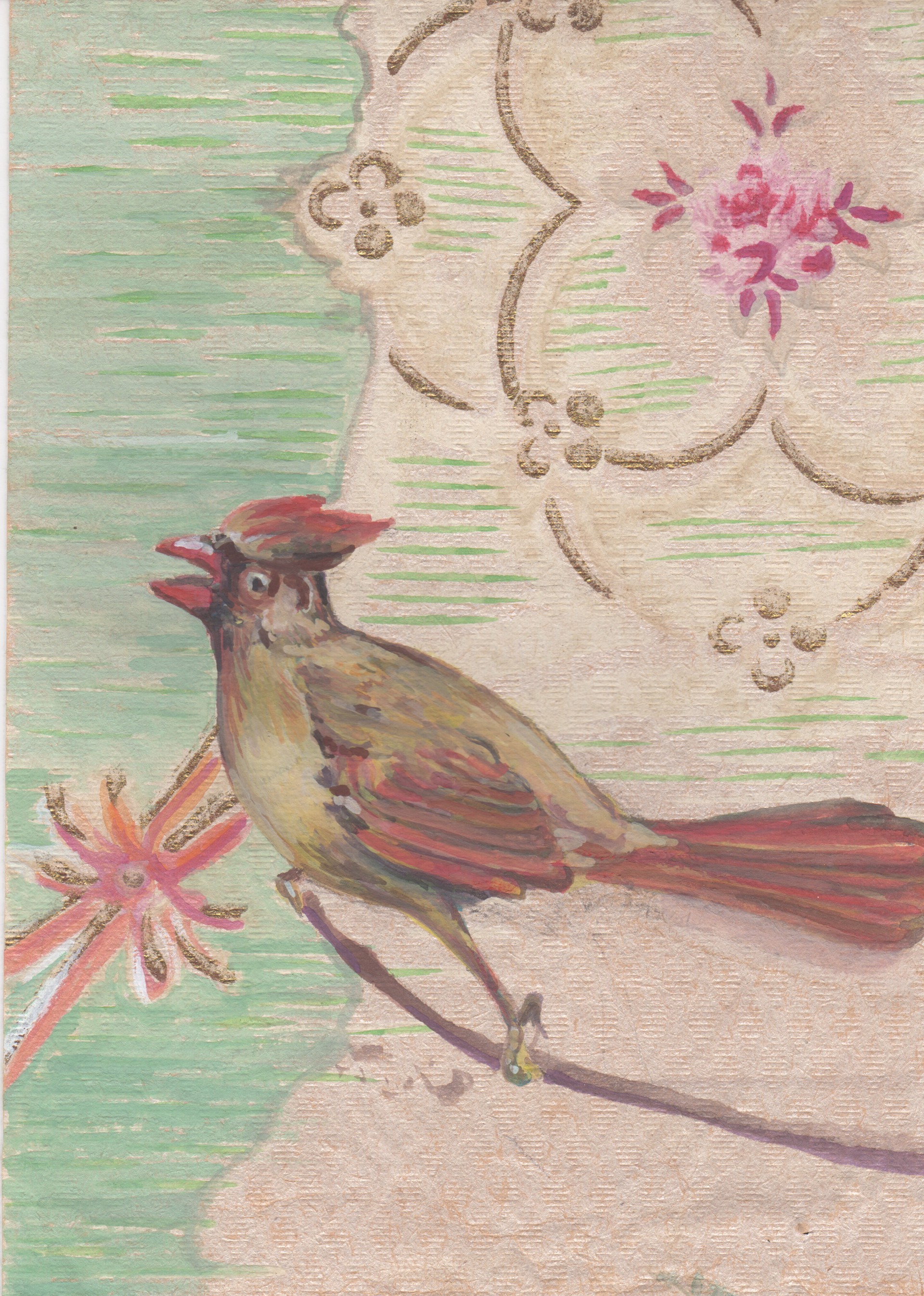 Cardinal, female–Richmondena cardinalis by Barbara Fedeler