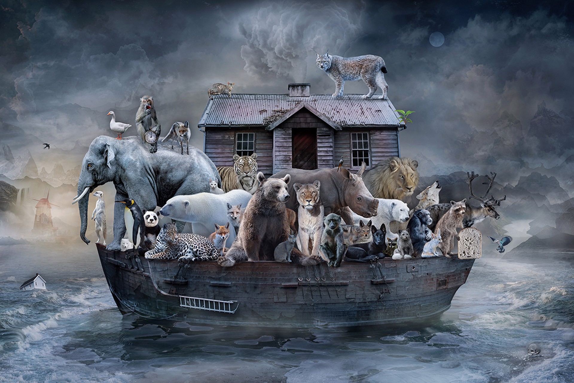 In Search of Safe Harbor by Marcin Owczarek