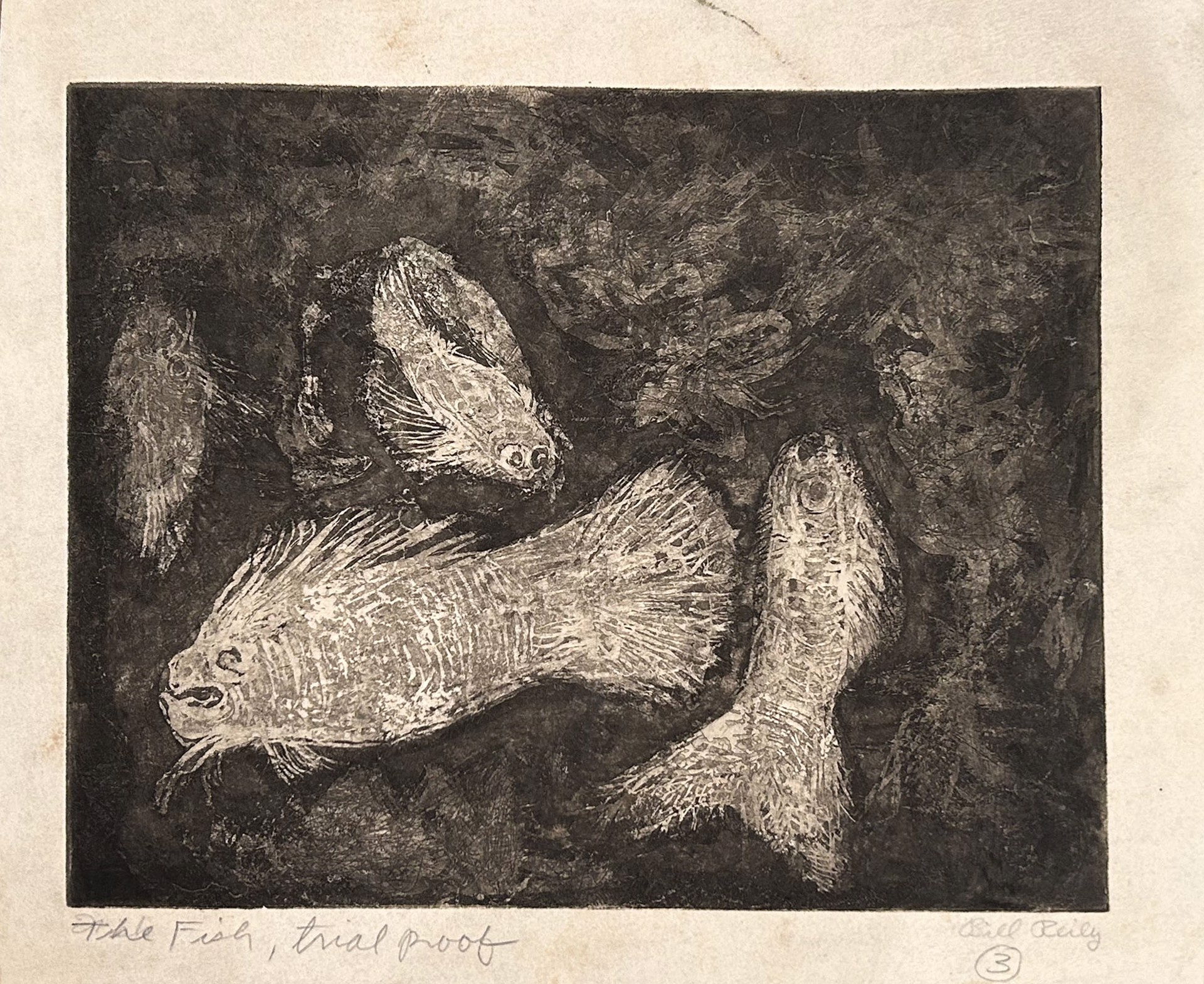 3. The Fish (Trial proof) by Bill Reily - Prints