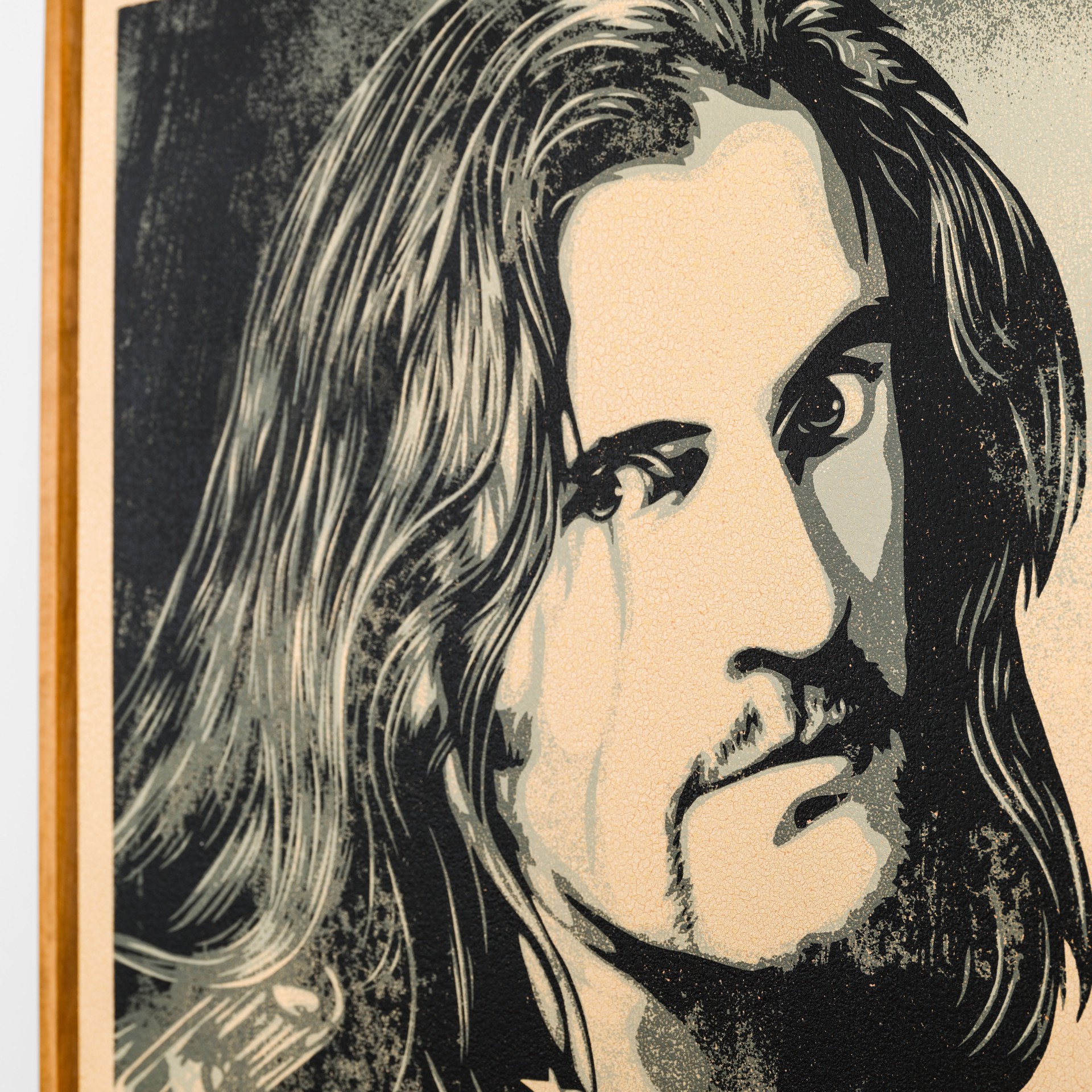 Lemmy Damaged Case by Shepard Fairey / Limited editions
