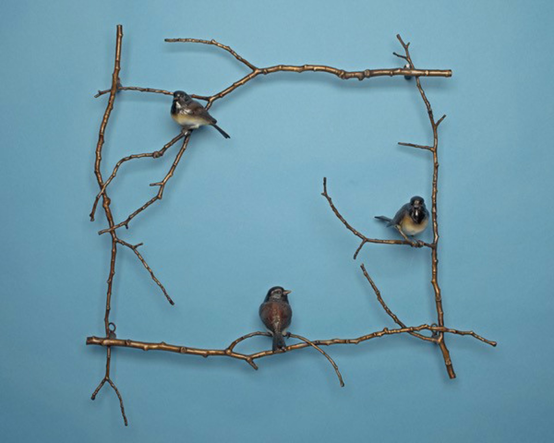 Bird's Eye View by Melissa Cooper
