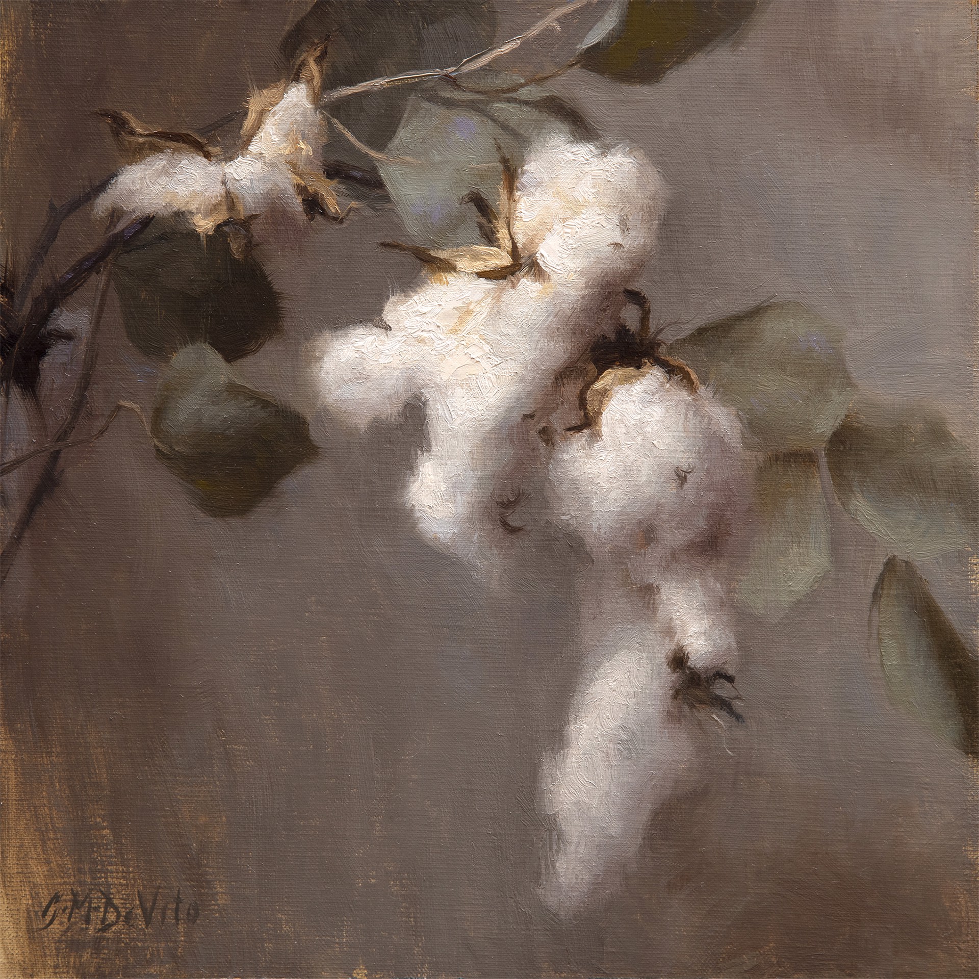 Cotton Bough by Grace DeVito