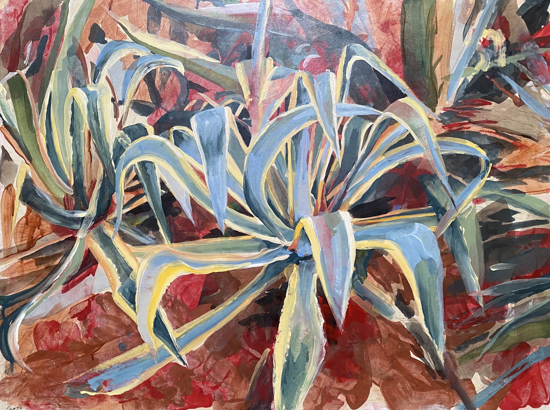 Agave by Malou Flato