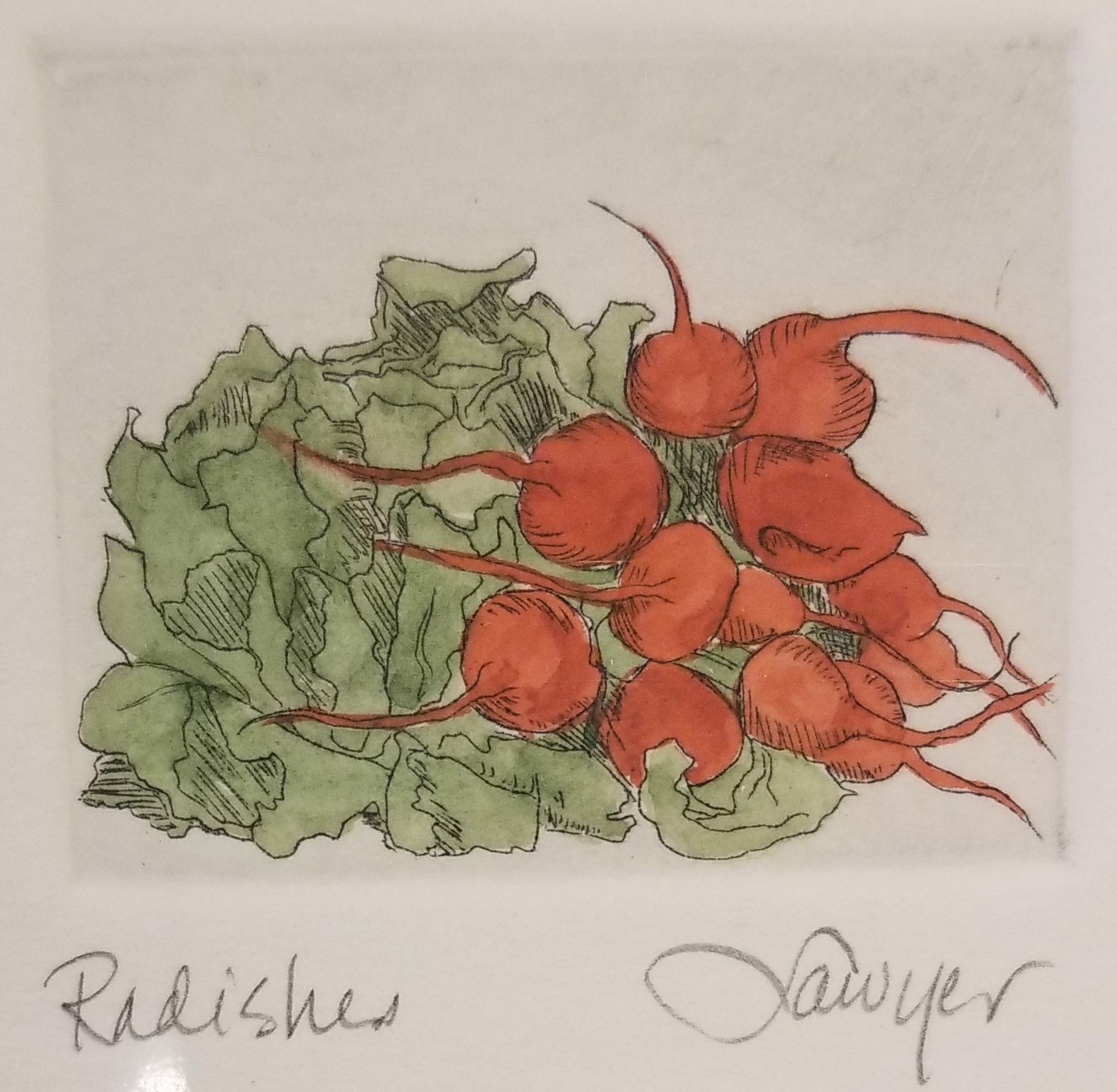 Radishes (unframed) by Anne Sawyer