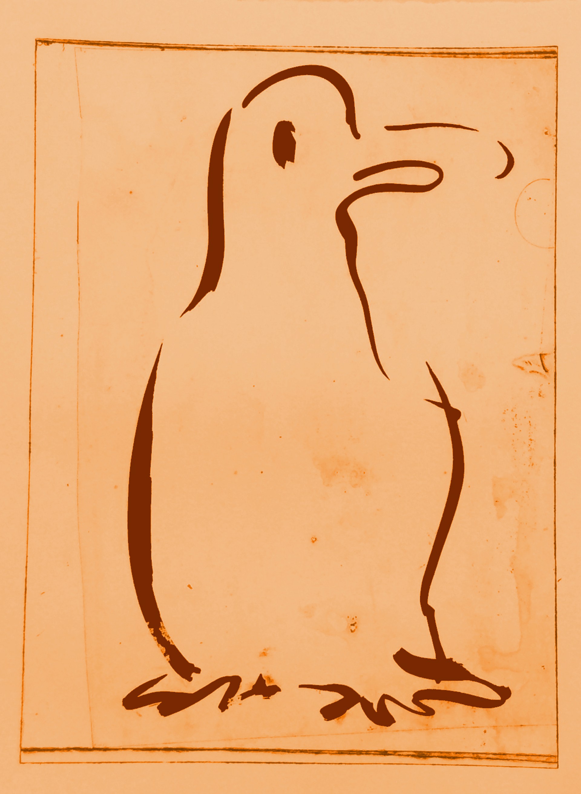 Penguin by Jesse Wood