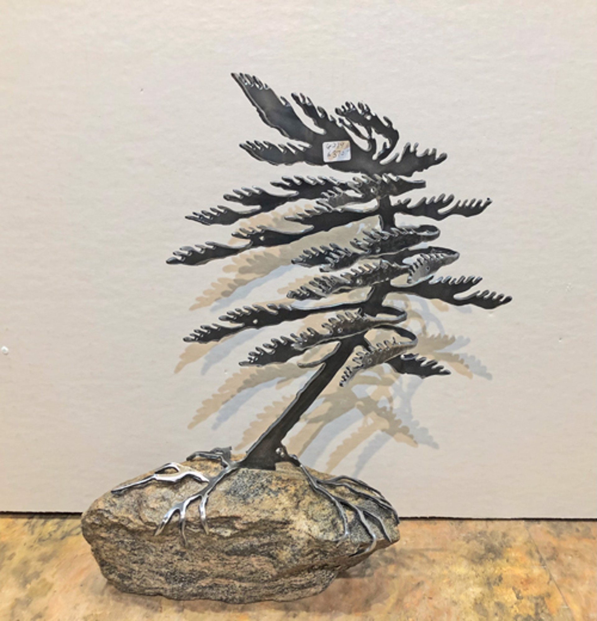 Windswept Pine 6279 by Cathy Mark