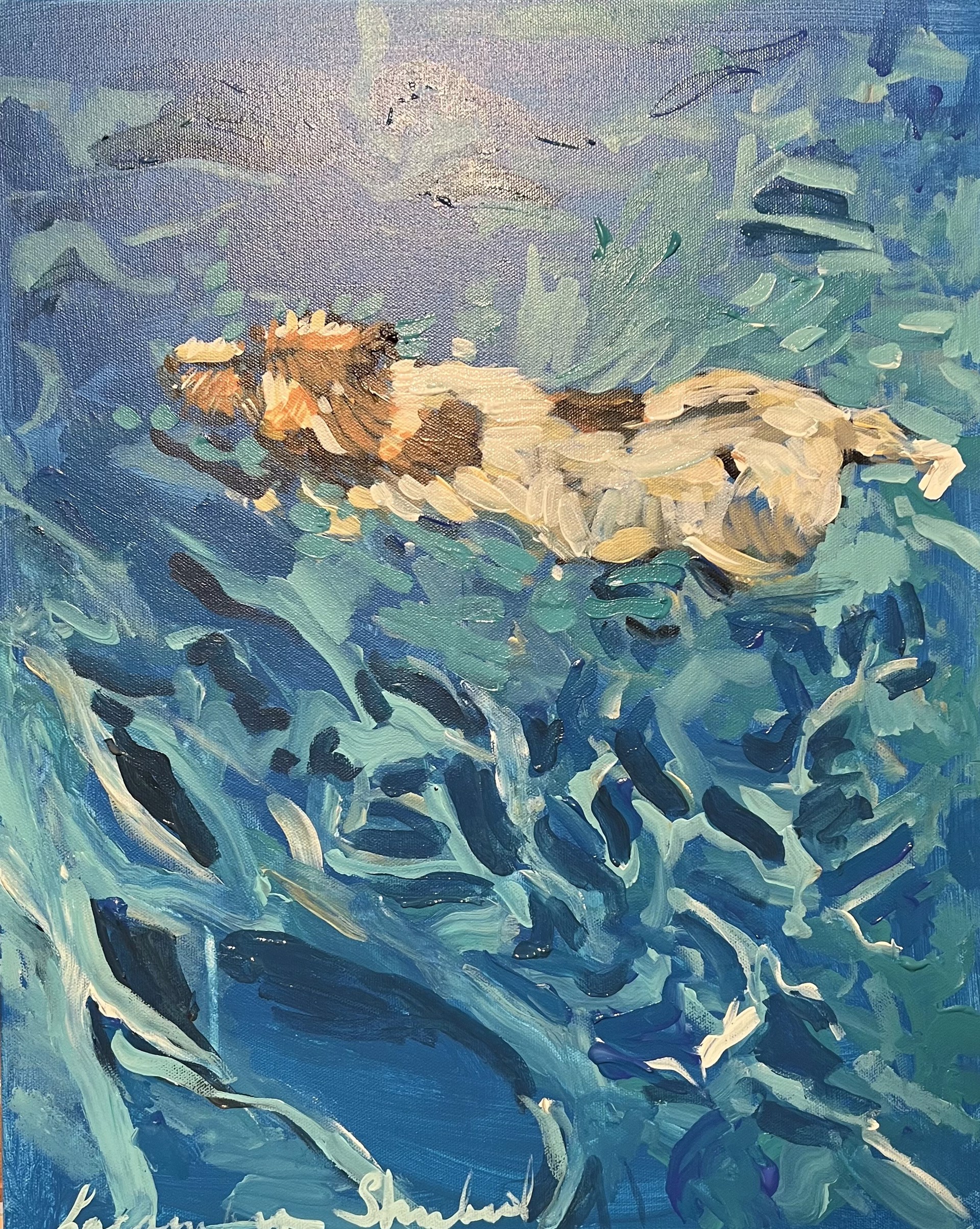 Swimming Dog by Laura Lacambra Shubert