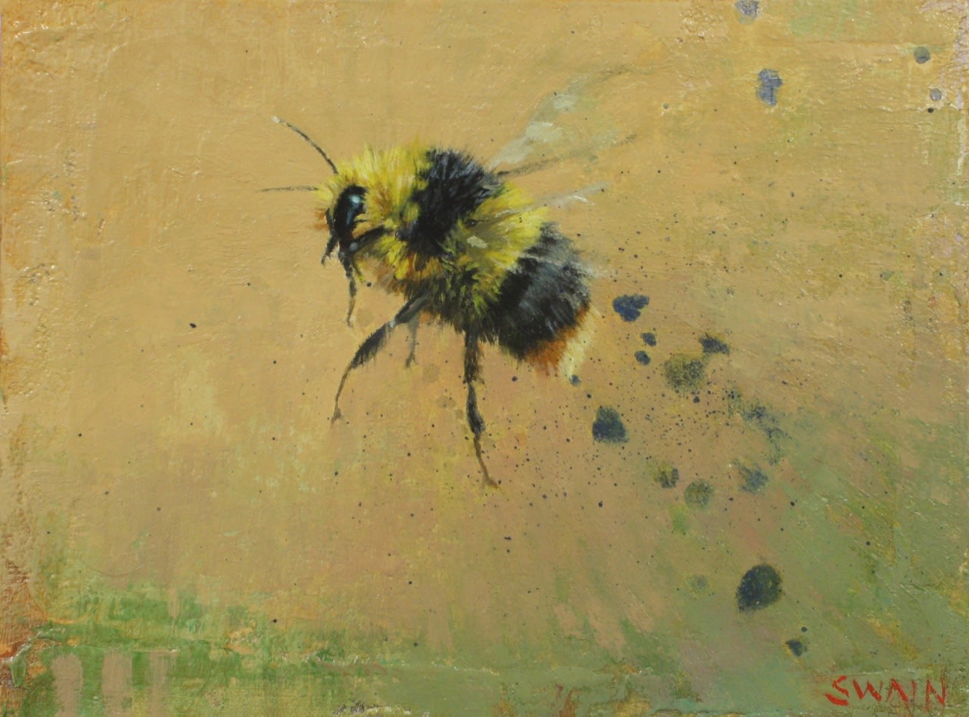 Busy Bee by Tyler Swain