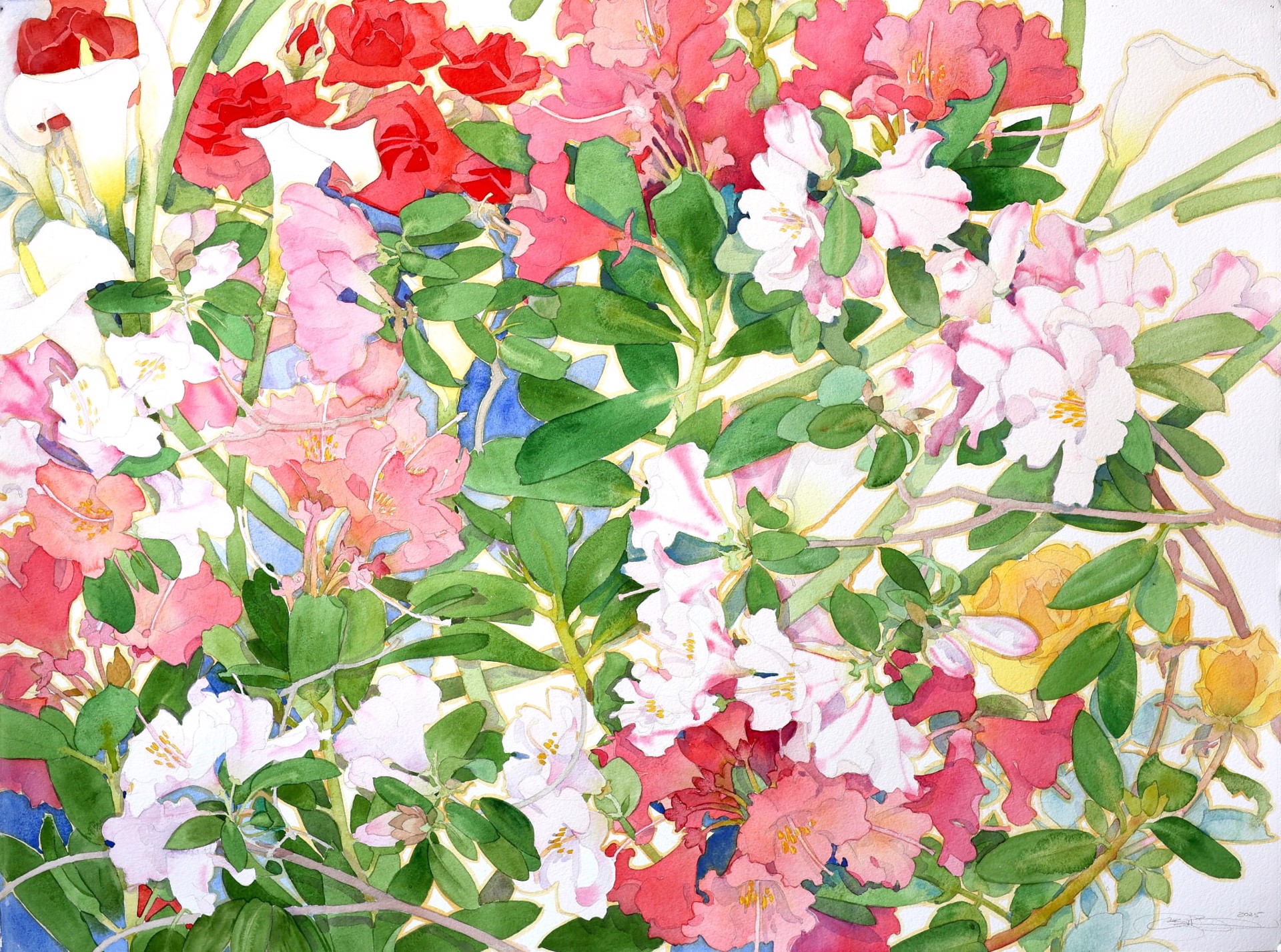 Gary Bukovnik | Andra Norris Gallery