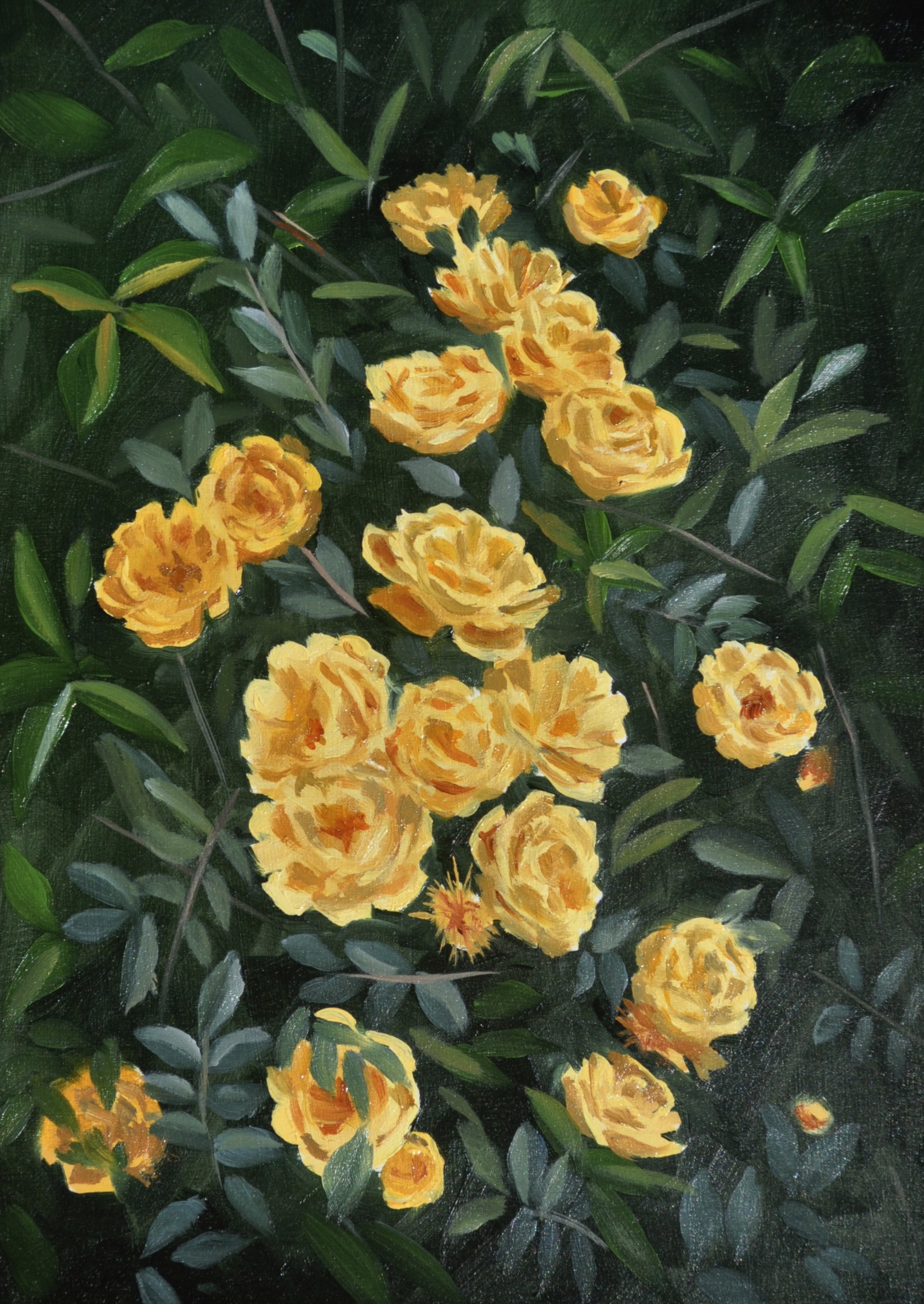 Cluster of Yellow Roses by Robin Hextrum