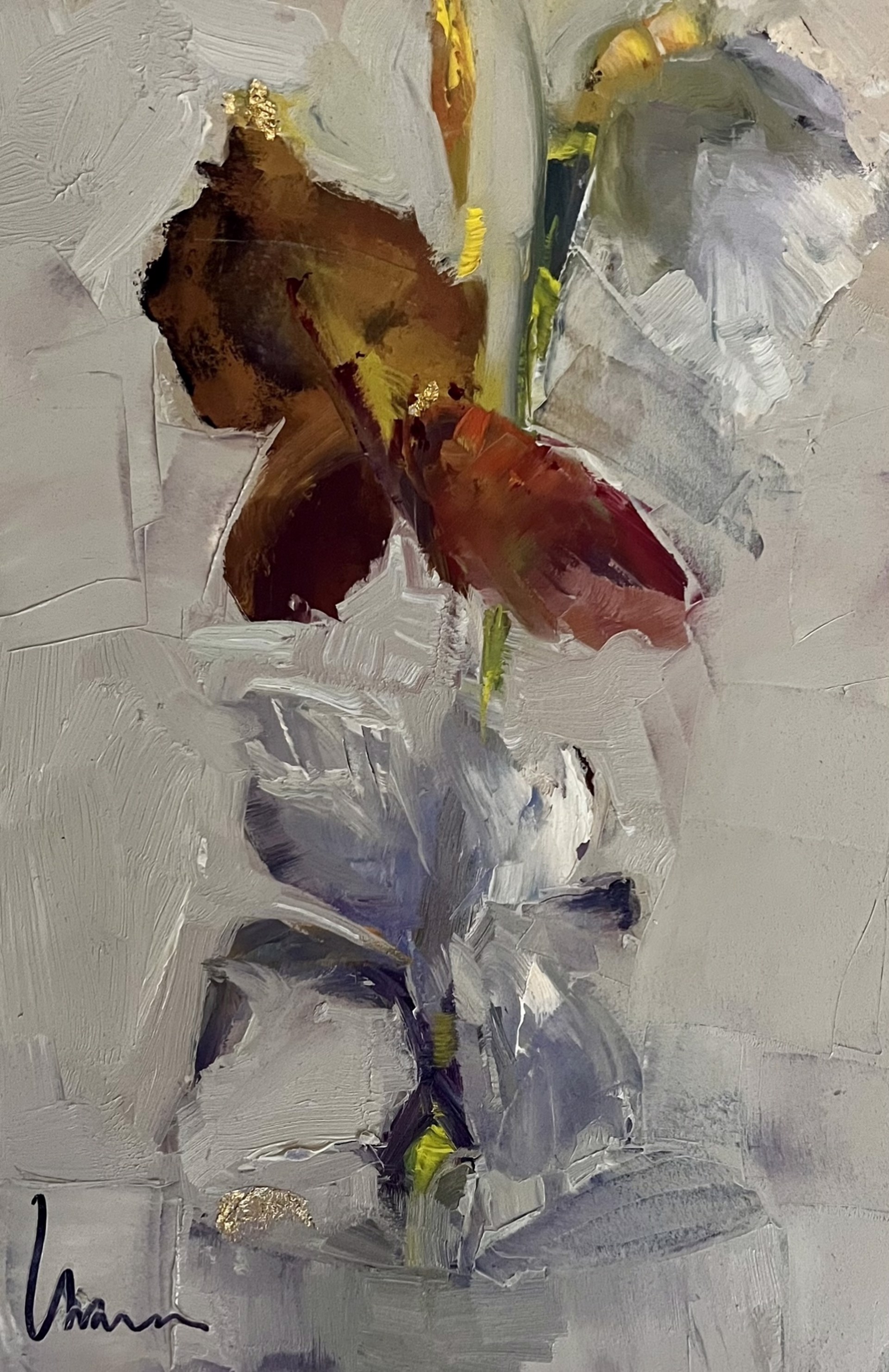 Bearded Iris by Ingrid Derrickson