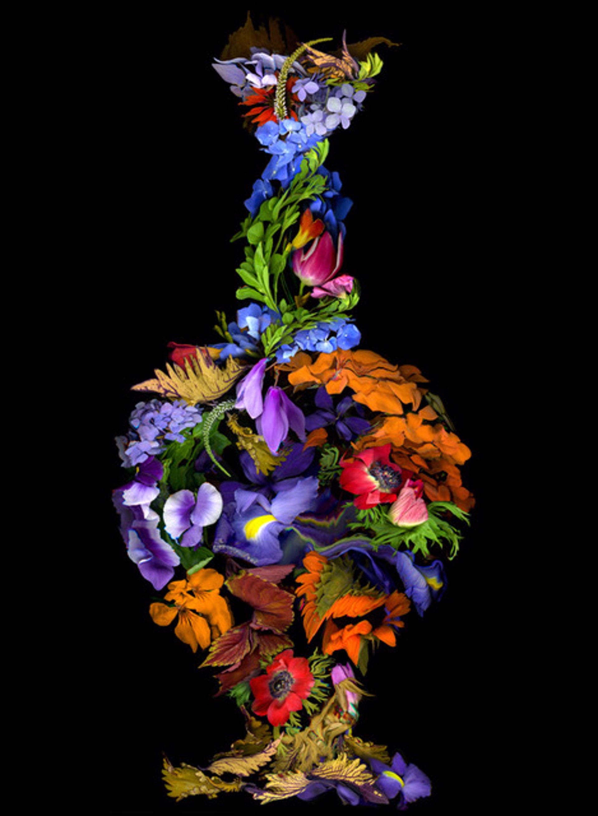 Floral by Kate Blacklock
