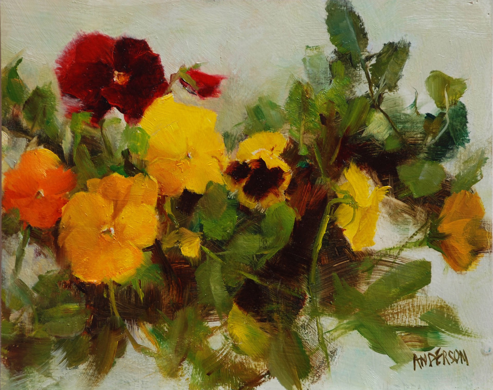 Yellow Pansy Mix by Kathy Anderson