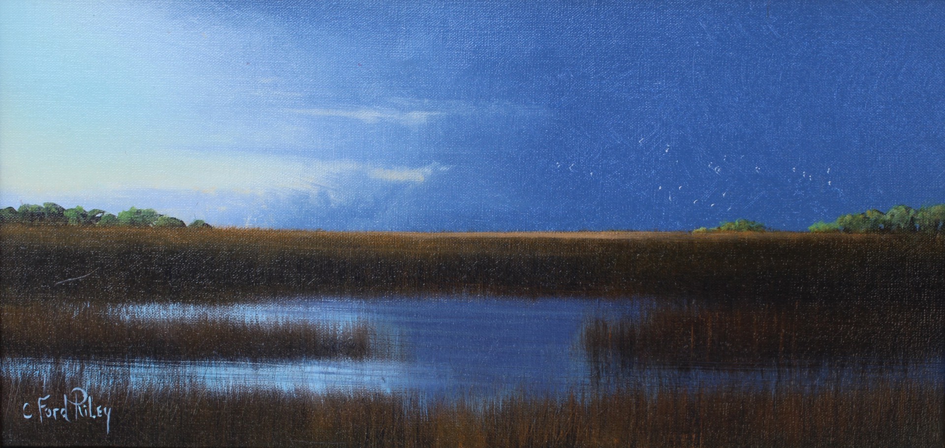 Myakka Blue By C Ford Riley Palm Avenue Fine Art