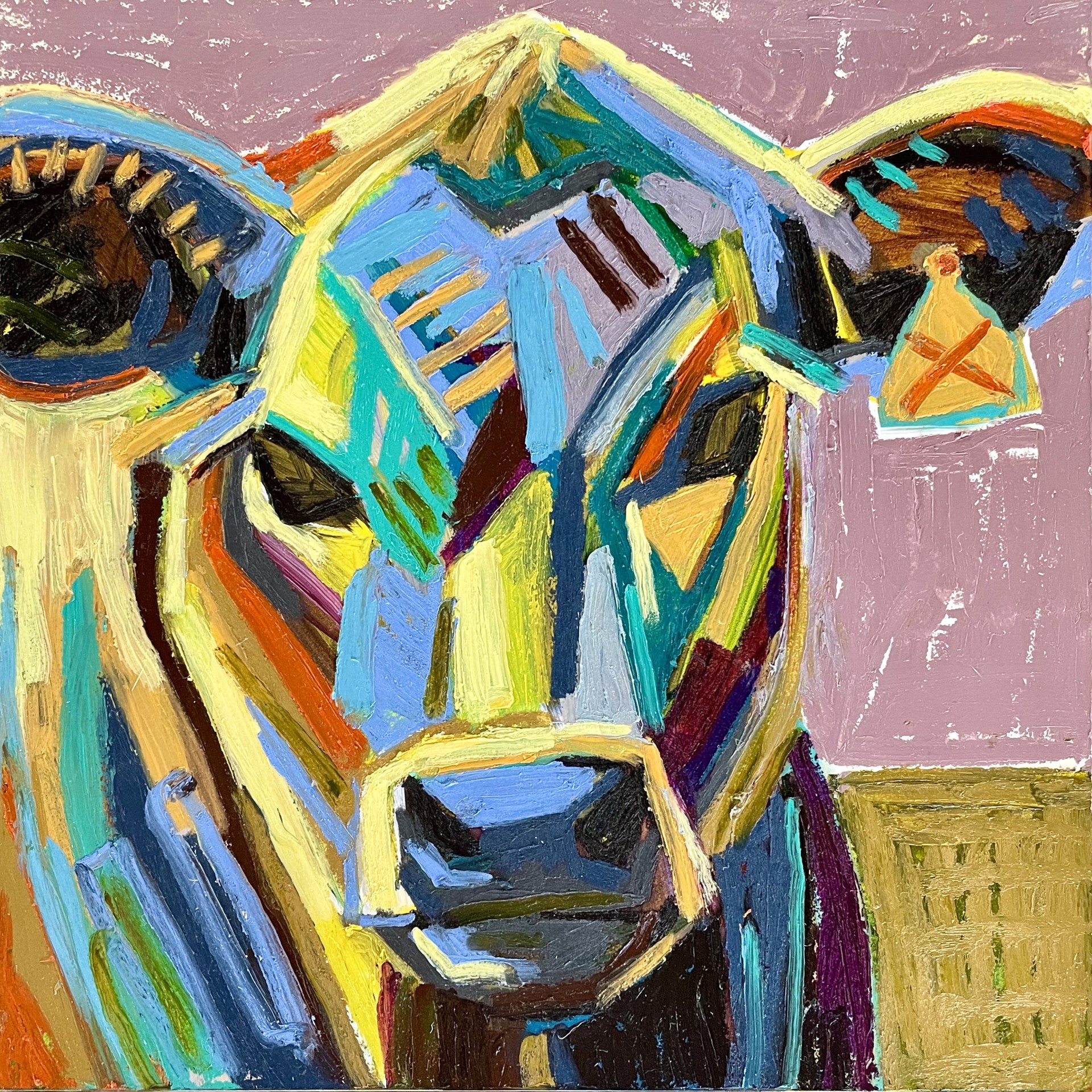 Cow by Kate Mullin