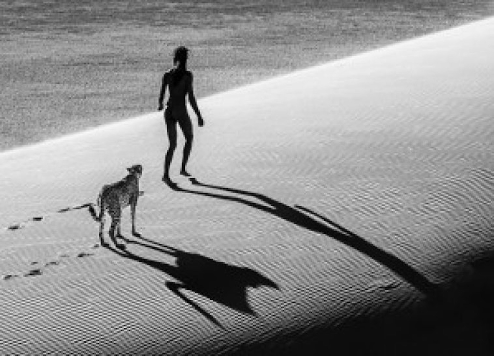 On The Catwalk by David Yarrow