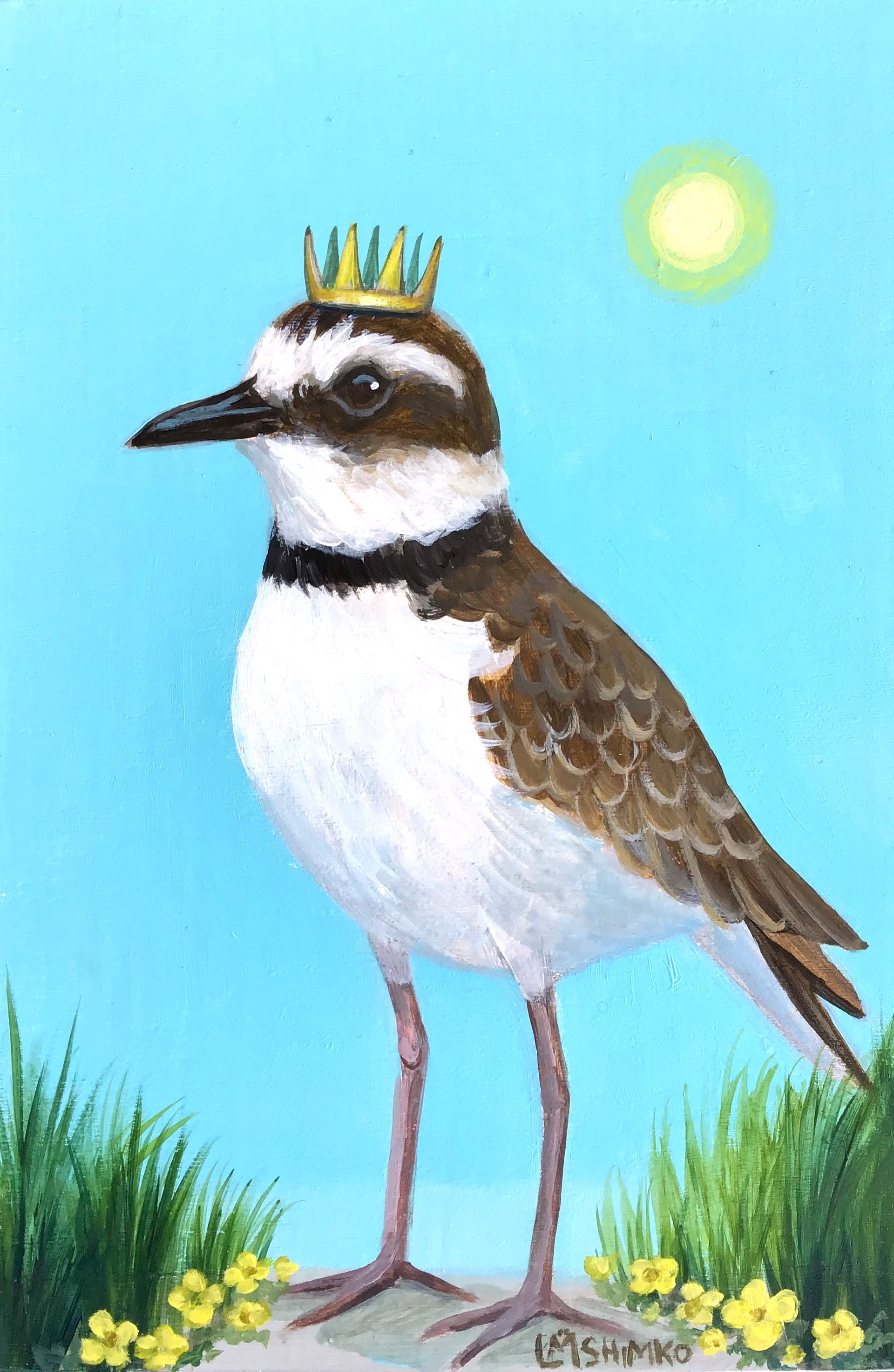 Wilson Plover King by Lisa Shimko