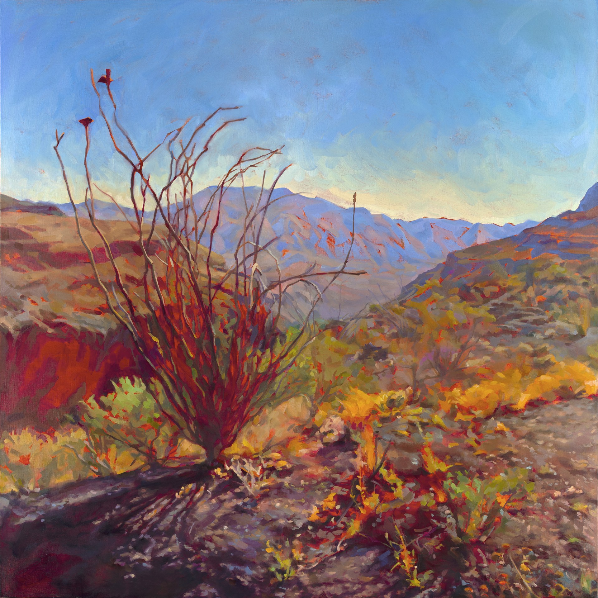 SOLD Big Bend Ranch State Park By Felice House Davis Gallery